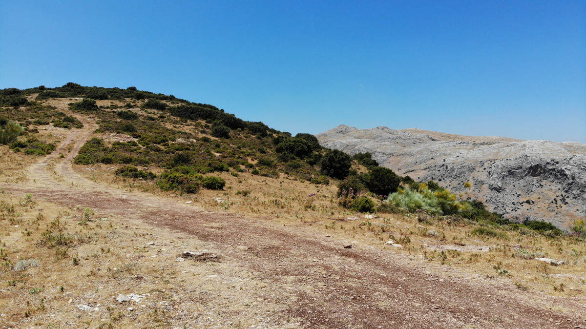 Land for sale in Ronda