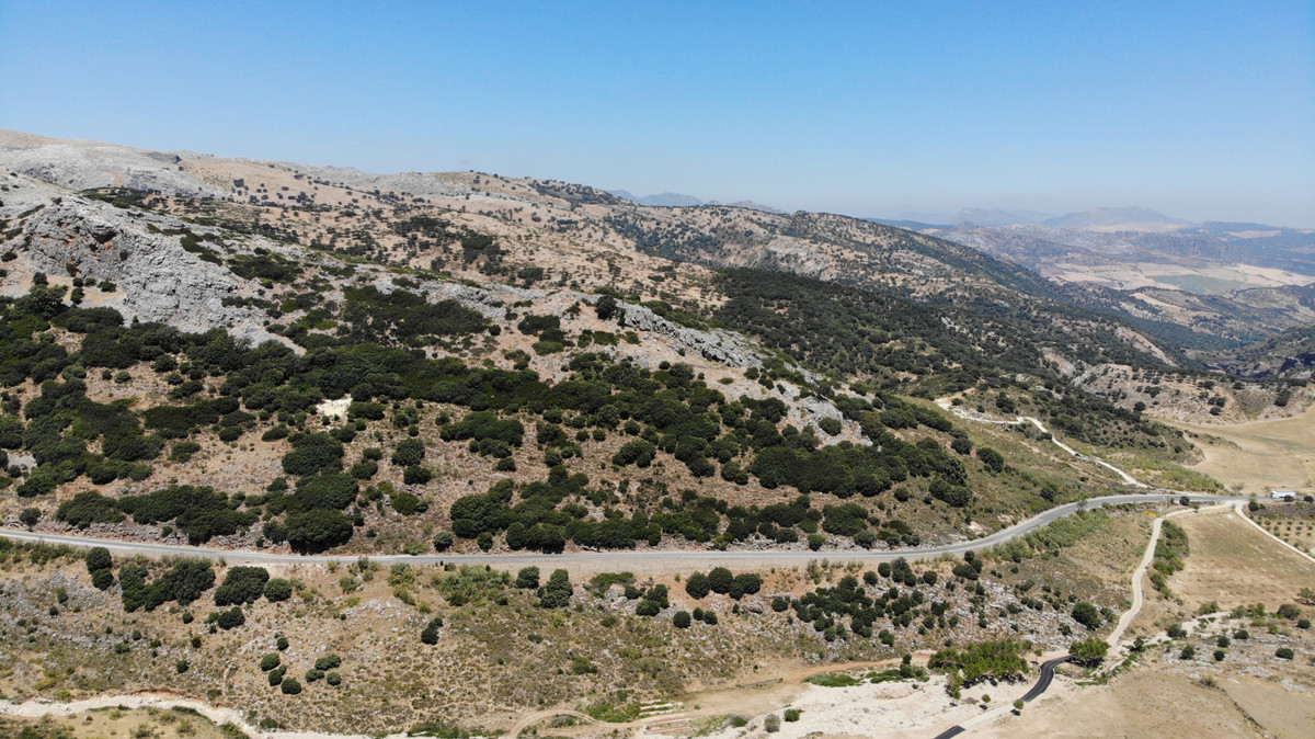 Land for sale in Ronda