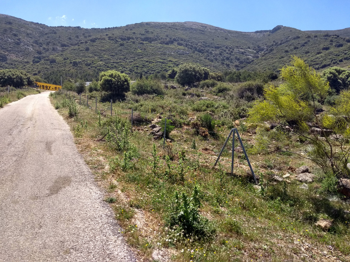 Land for sale in Ronda