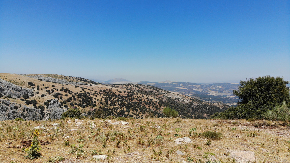 Land for sale in Ronda