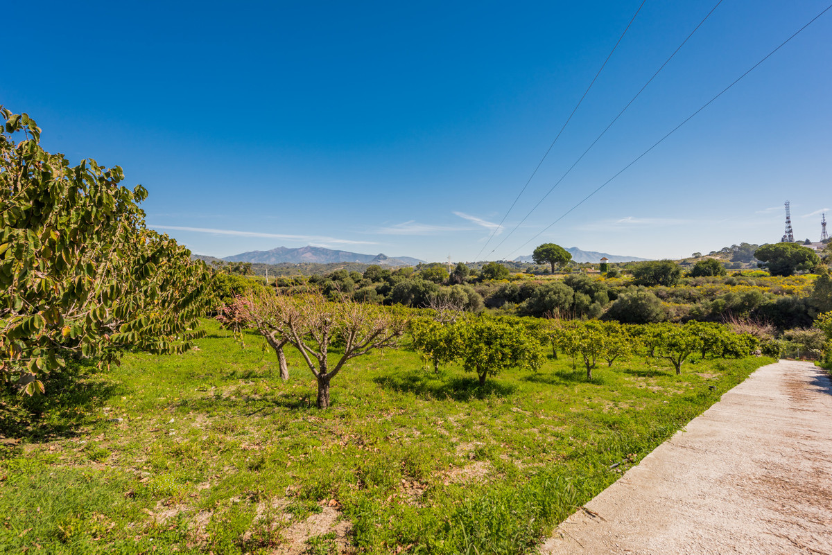 DP-12-R3675371-10 Villa for sale in El Padron