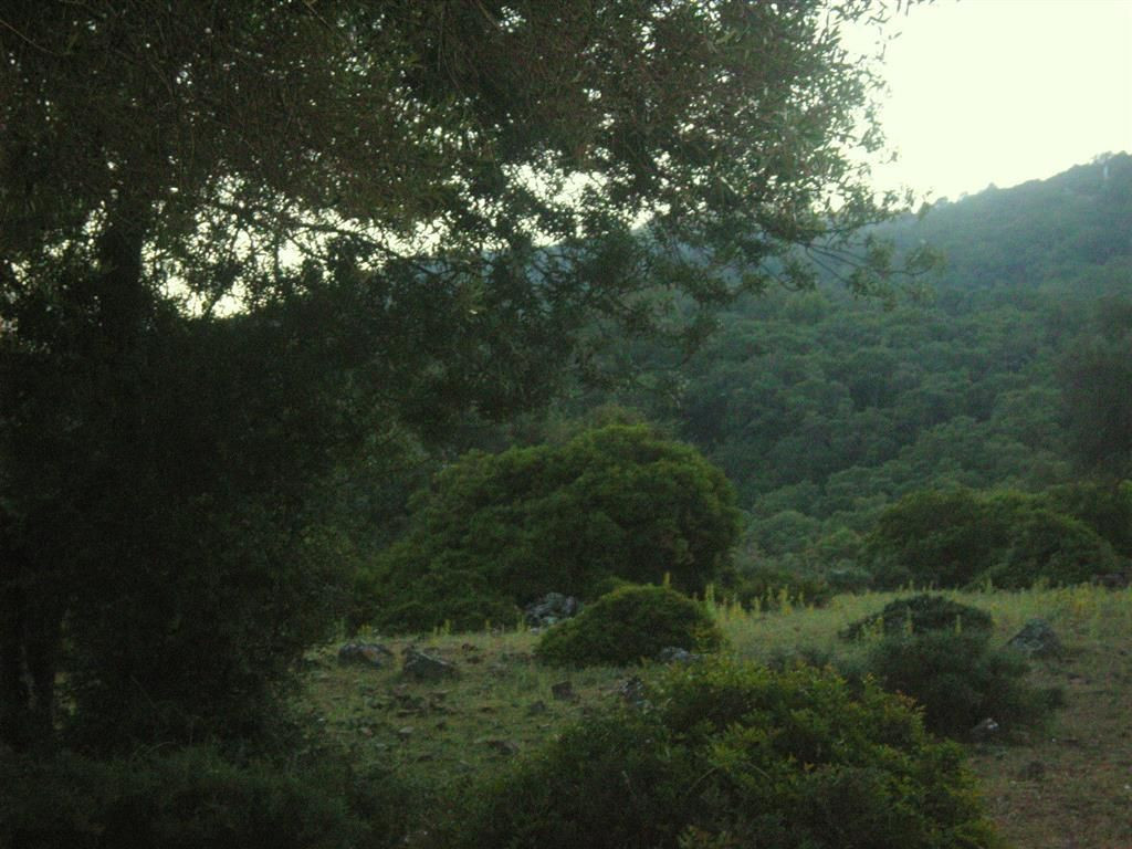 Land for sale in Estación de Gaucin