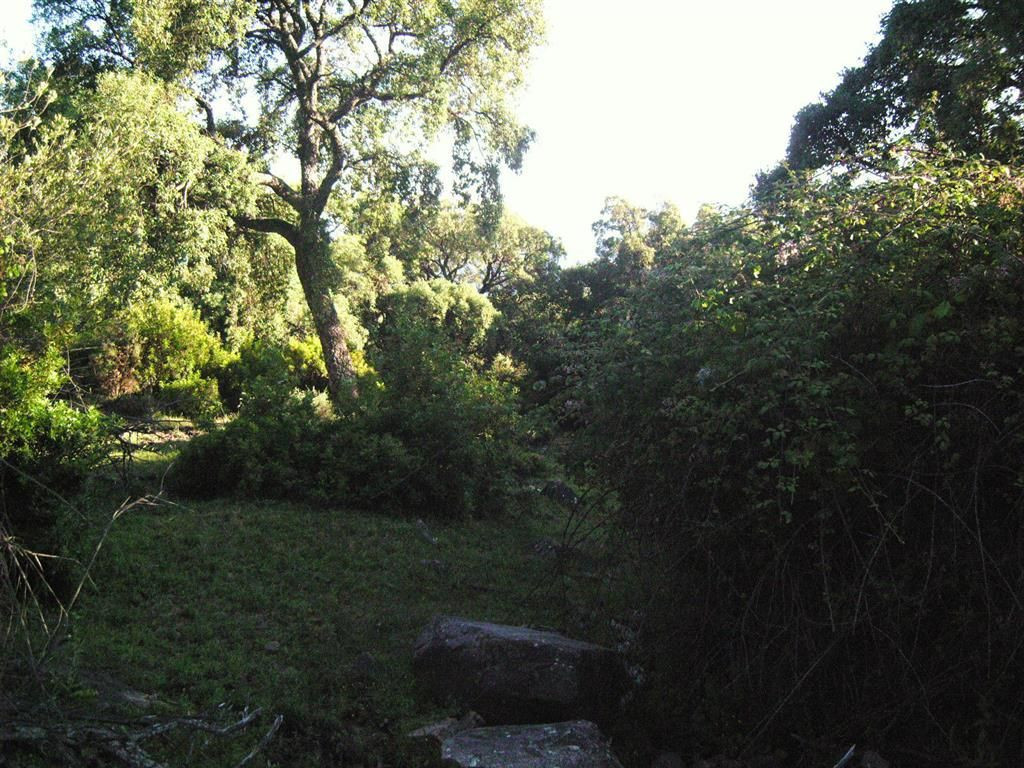 Land for sale in Estación de Gaucin