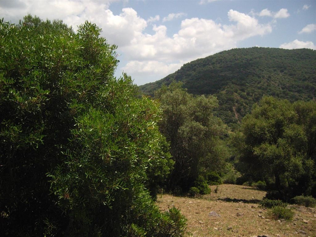 Land for sale in Estación de Gaucin