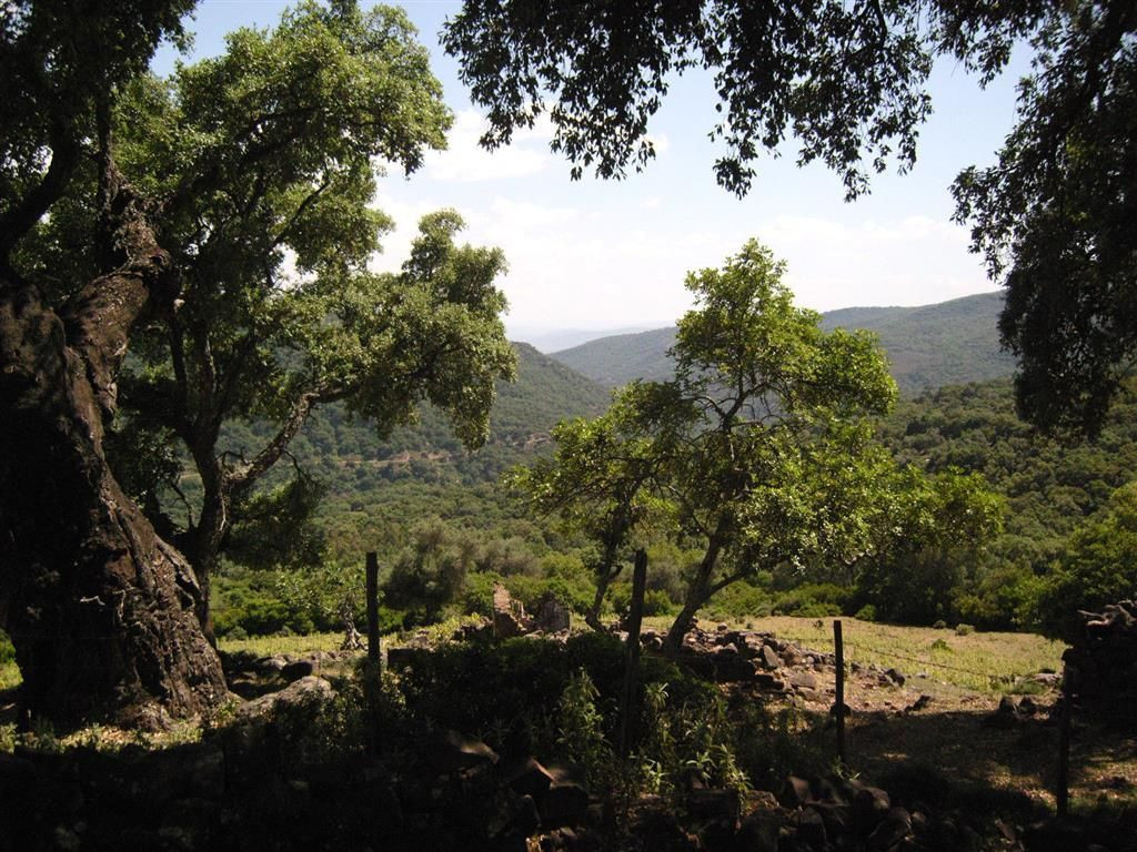 Land for sale in Estación de Gaucin