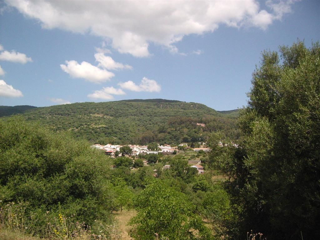 Land for sale in Estación de Gaucin