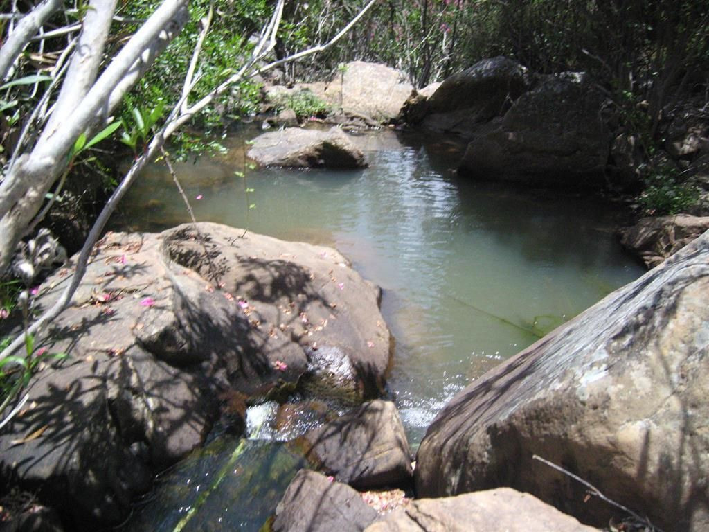 Land for sale in Estación de Gaucin