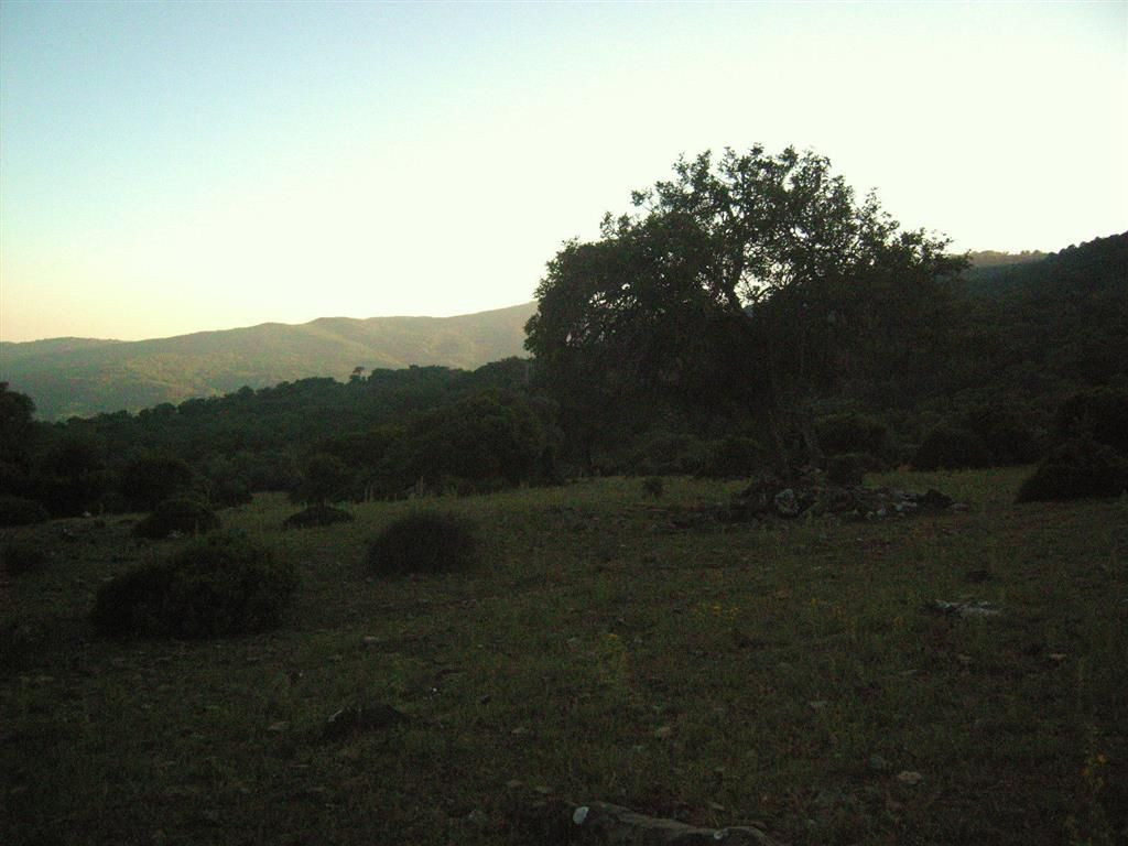 Land for sale in Estación de Gaucin
