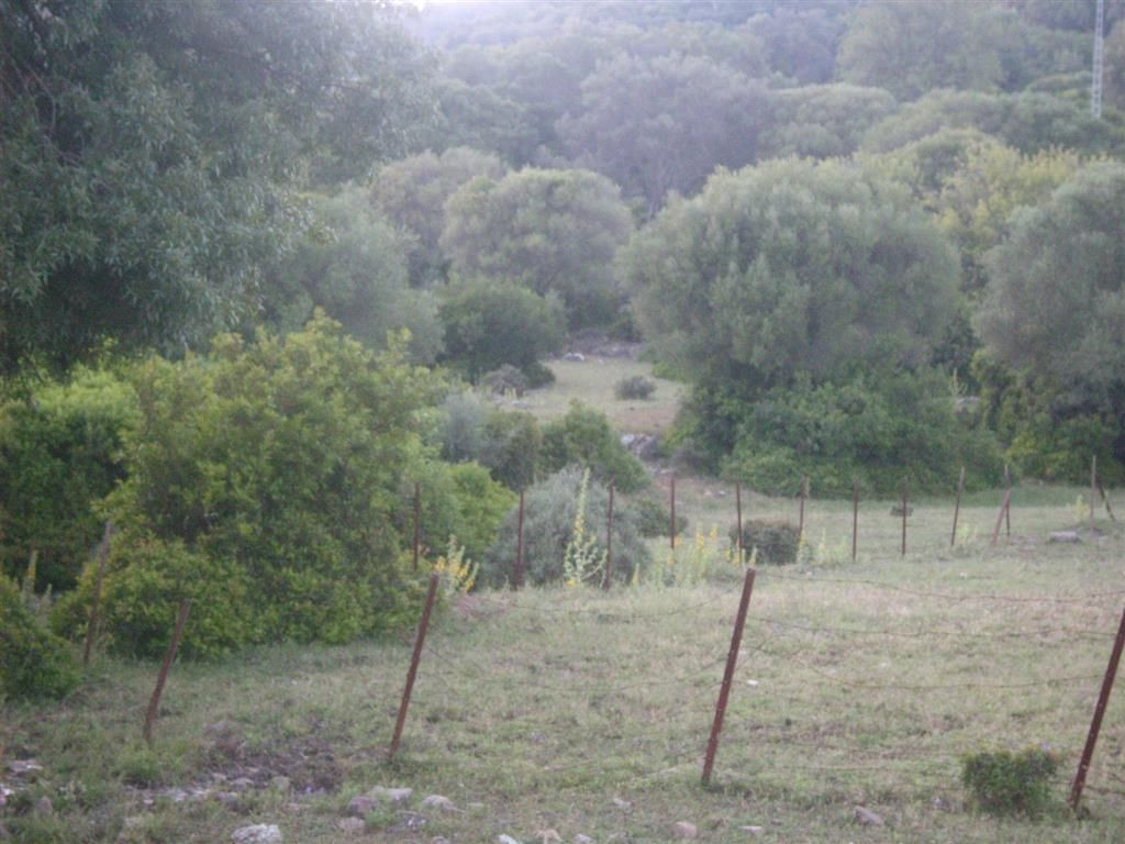 Land for sale in Estación de Gaucin