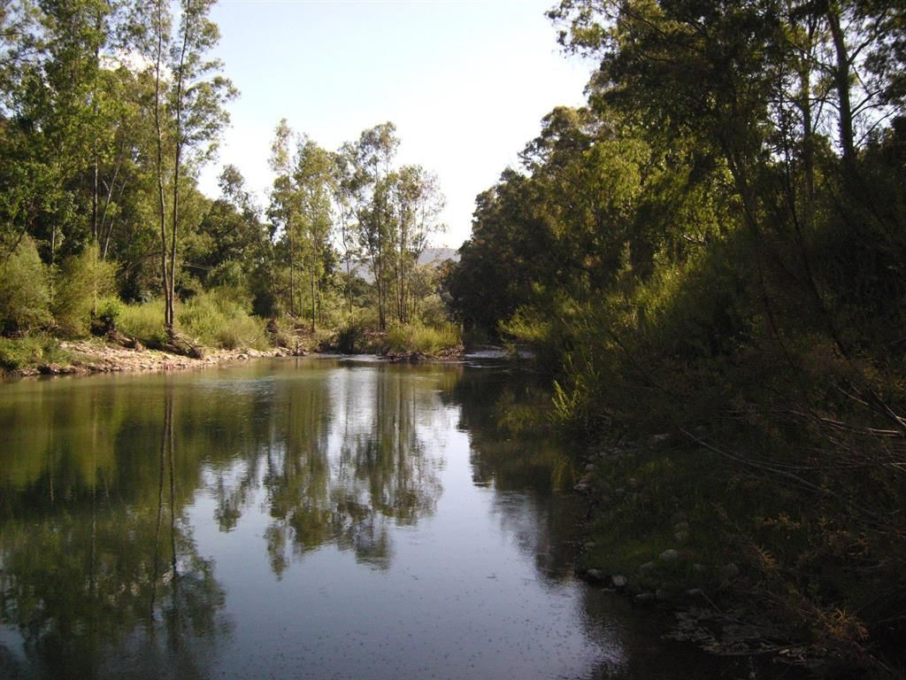 Land for sale in Estación de Gaucin