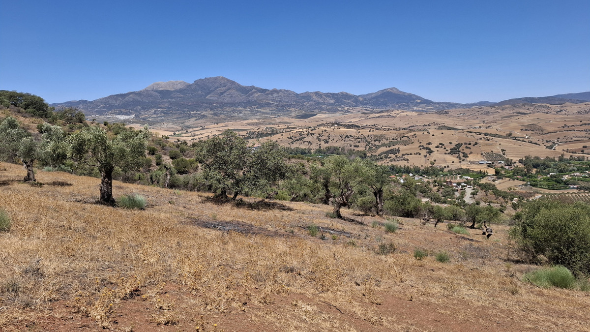 Land for sale in Coín