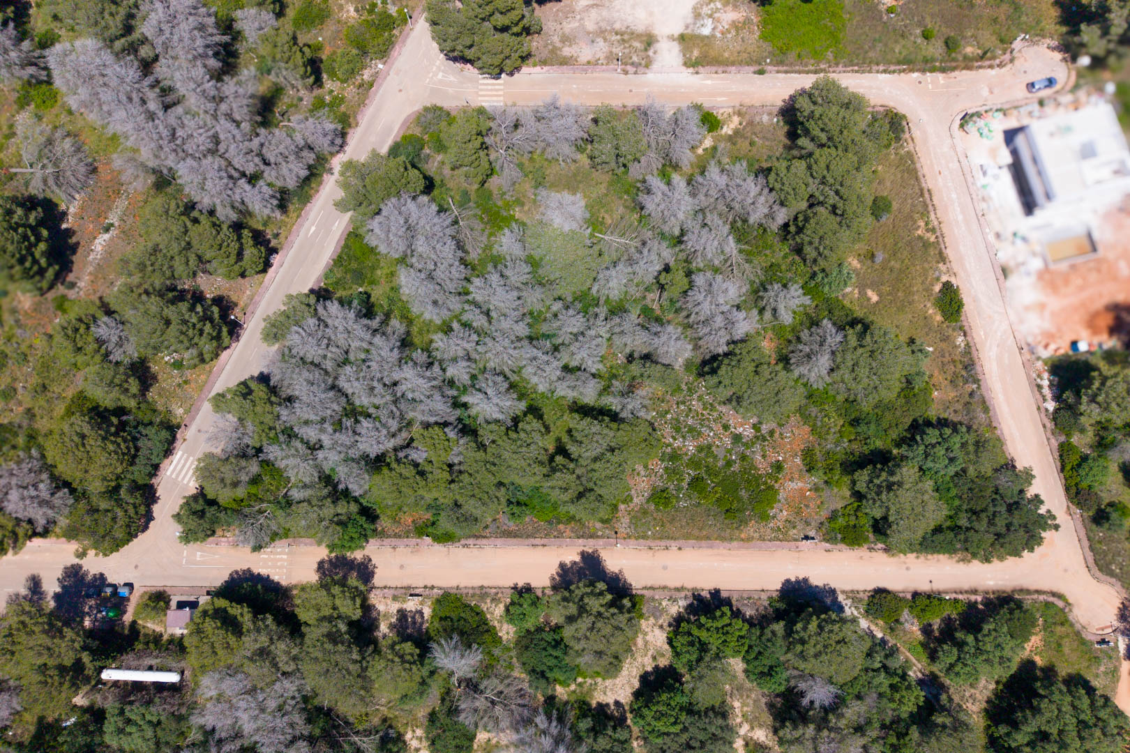 default Land for sale in Javea