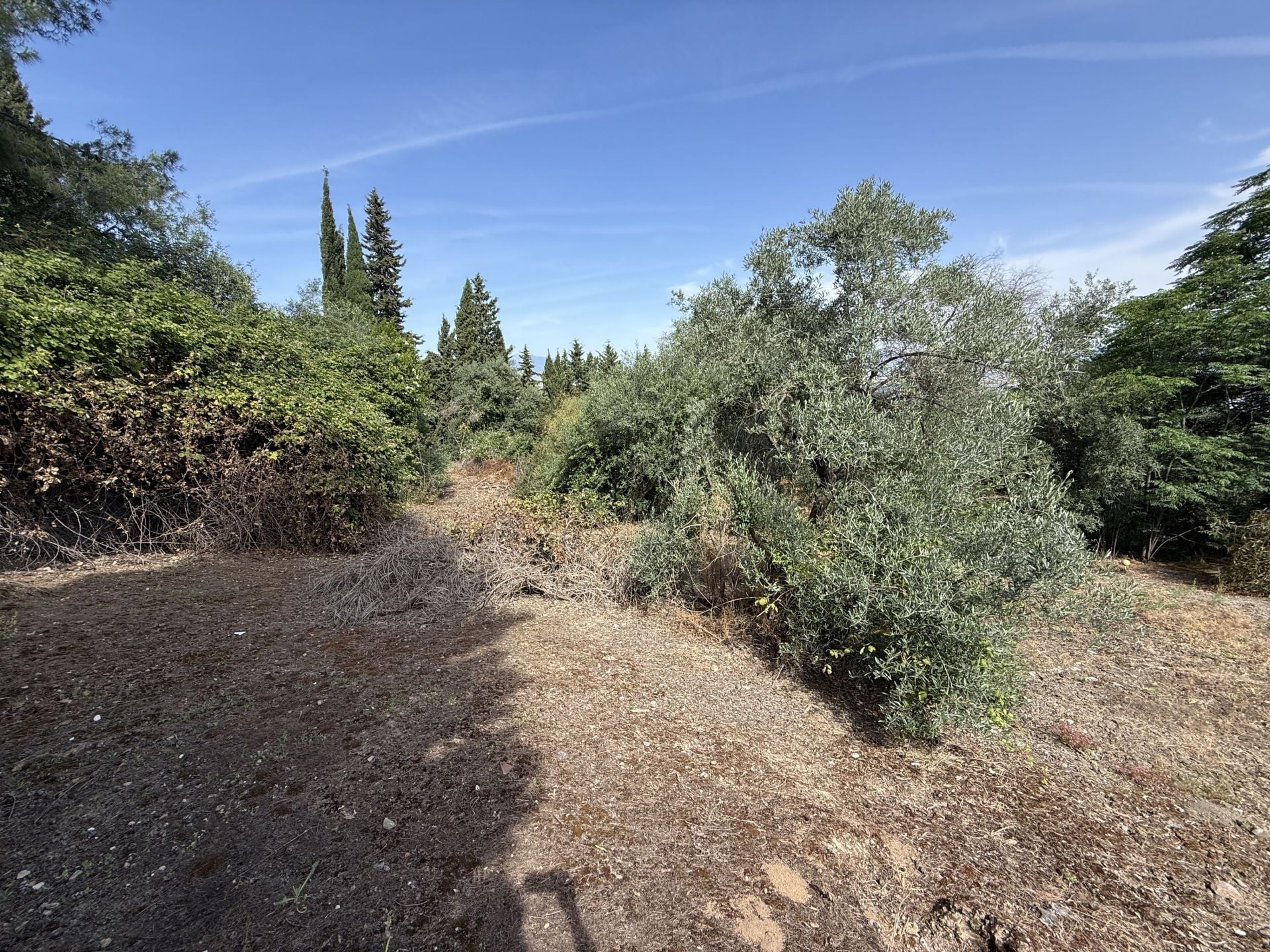 DP-52-F5394127-20