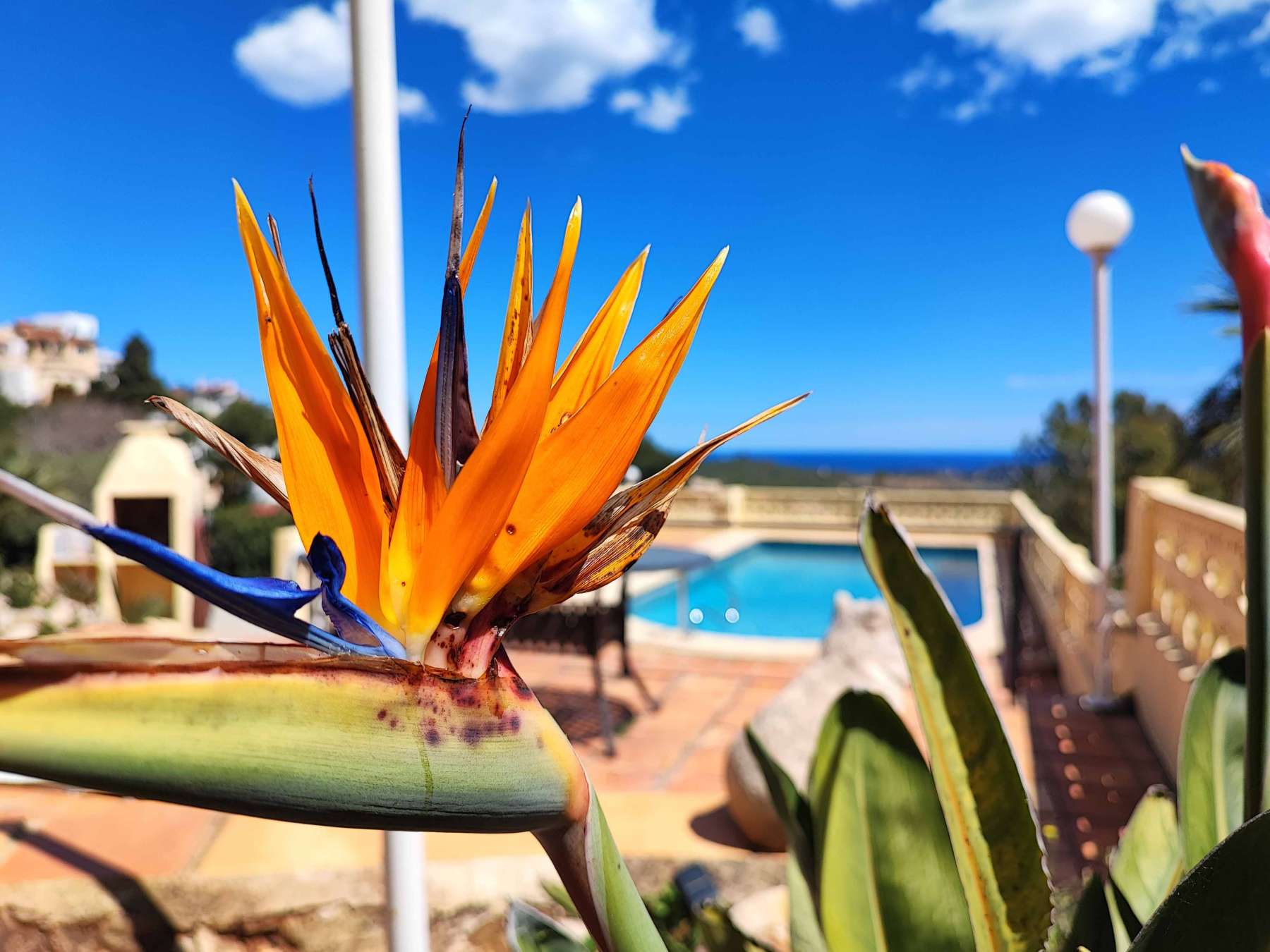 Villa for sale in Benitachell / El Poble Nou de Benitatxell