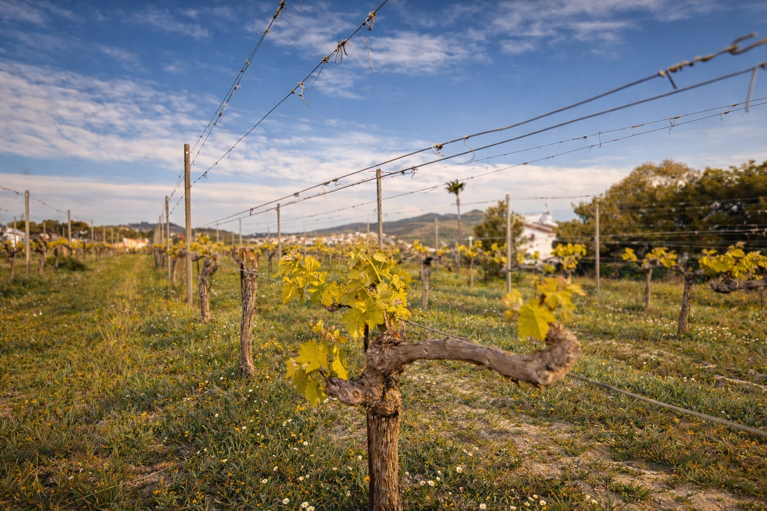 Finca for sale in Poble Nou de Benitatxell