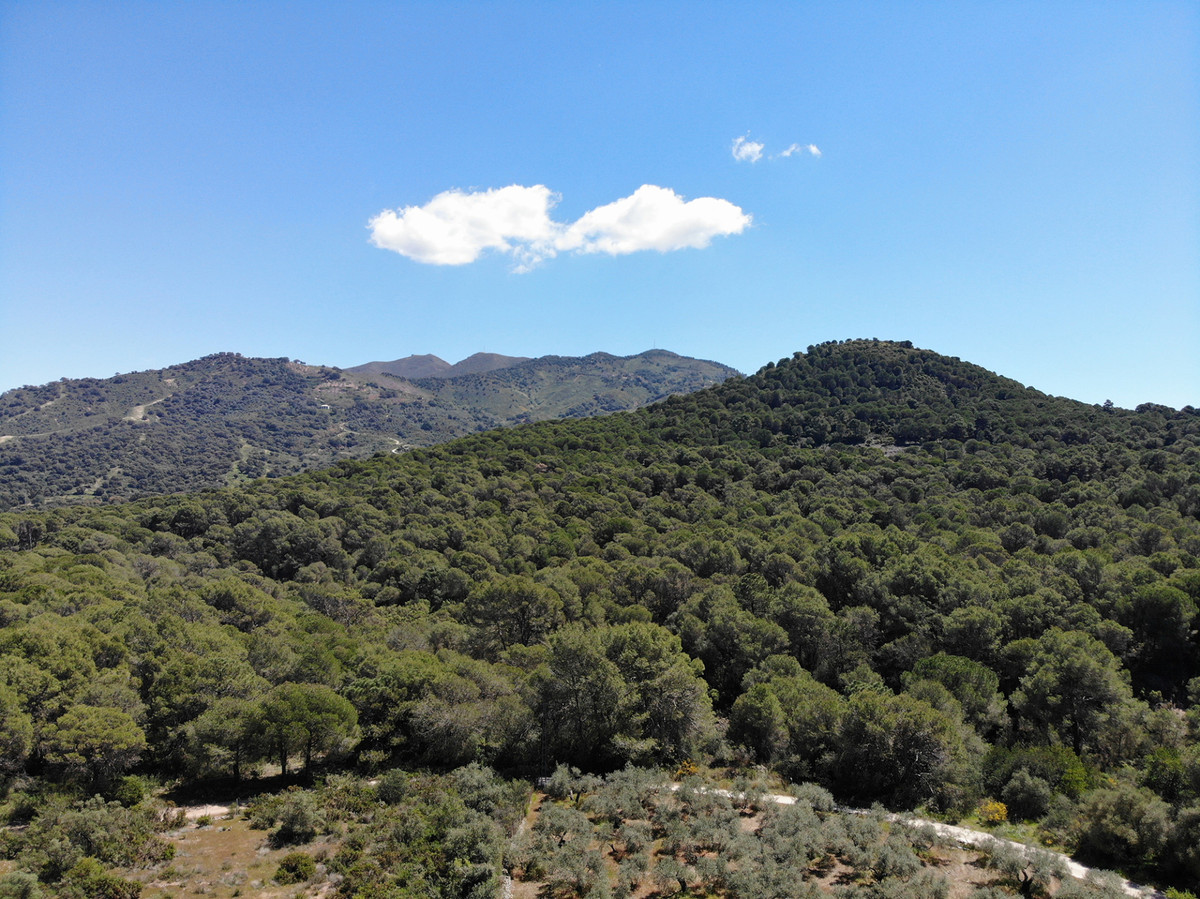 DP-12-R5424373-22 Finca for sale in Ojén