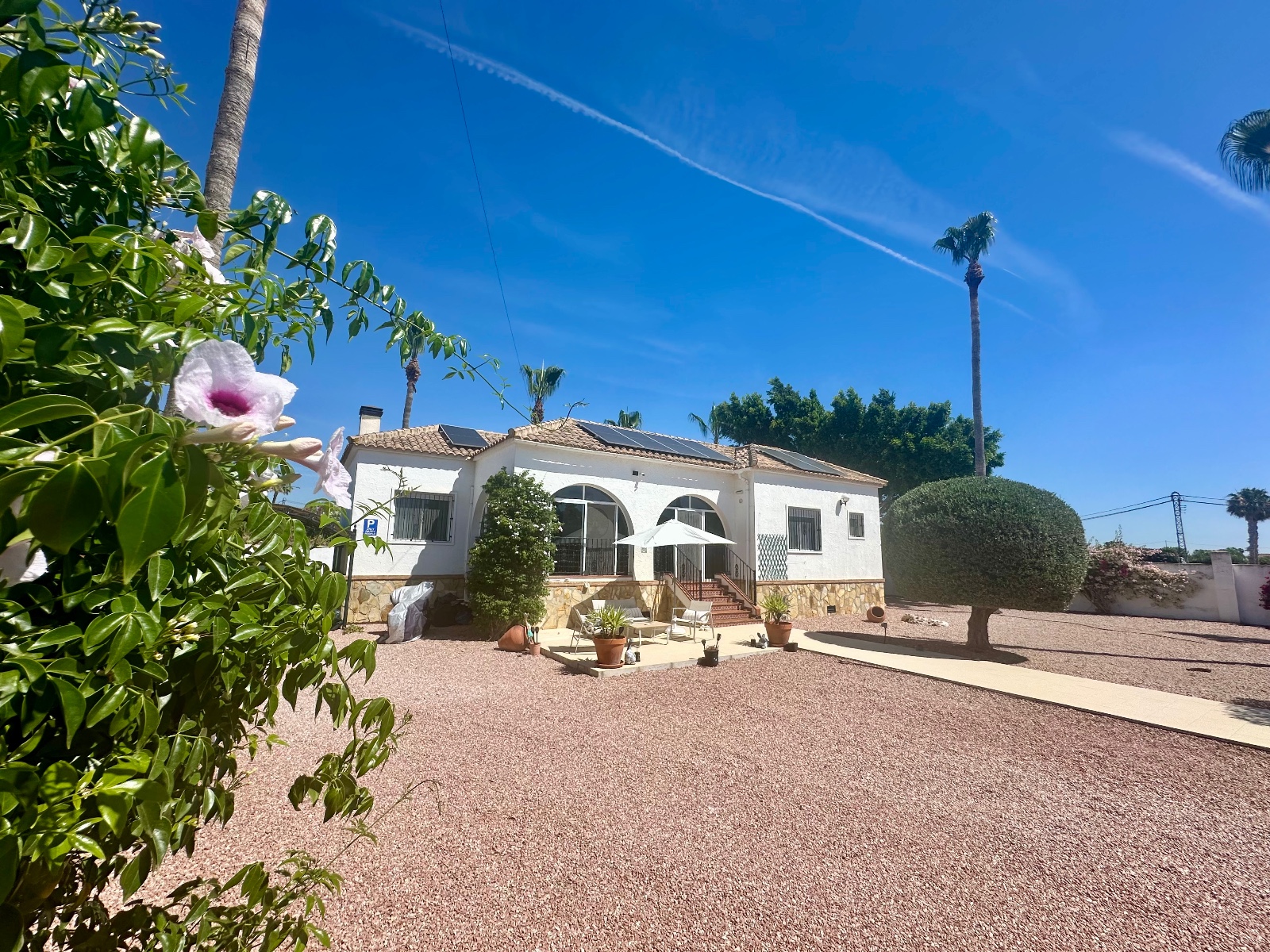 Finca for sale in Catral