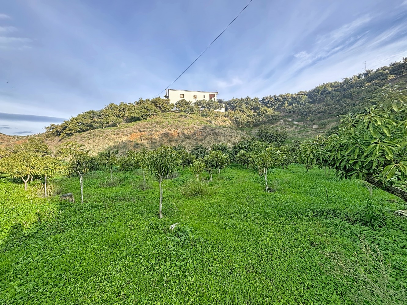 Land for sale in Vélez-Málaga