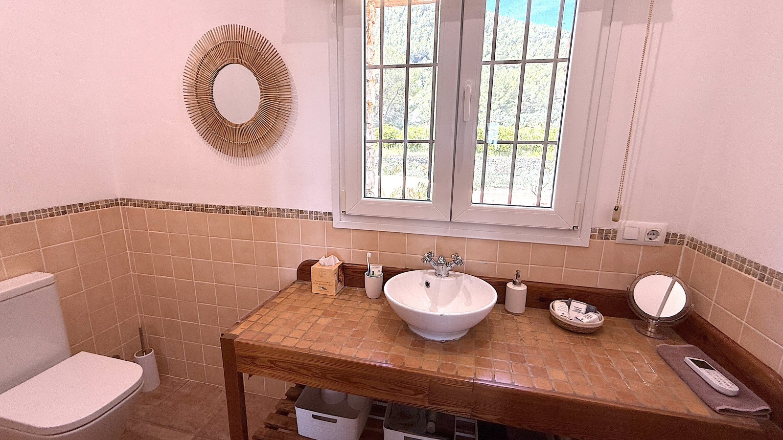 DP-31-AS-1026-40 Finca for sale in Orba