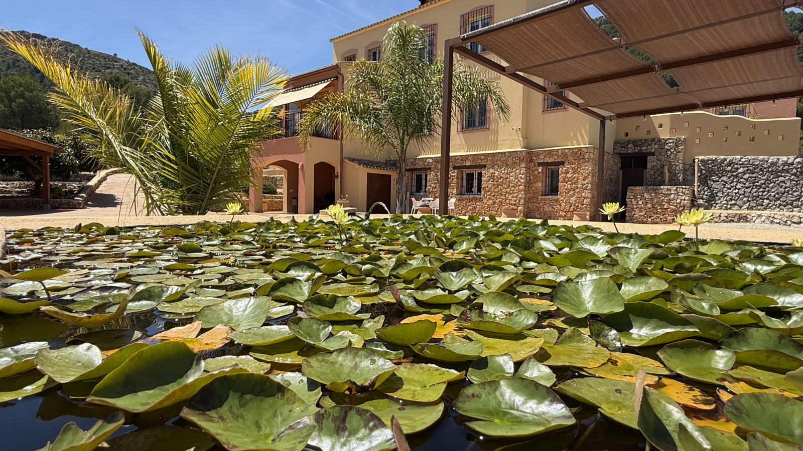 DP-31-AS-1026-41 Finca for sale in Orba