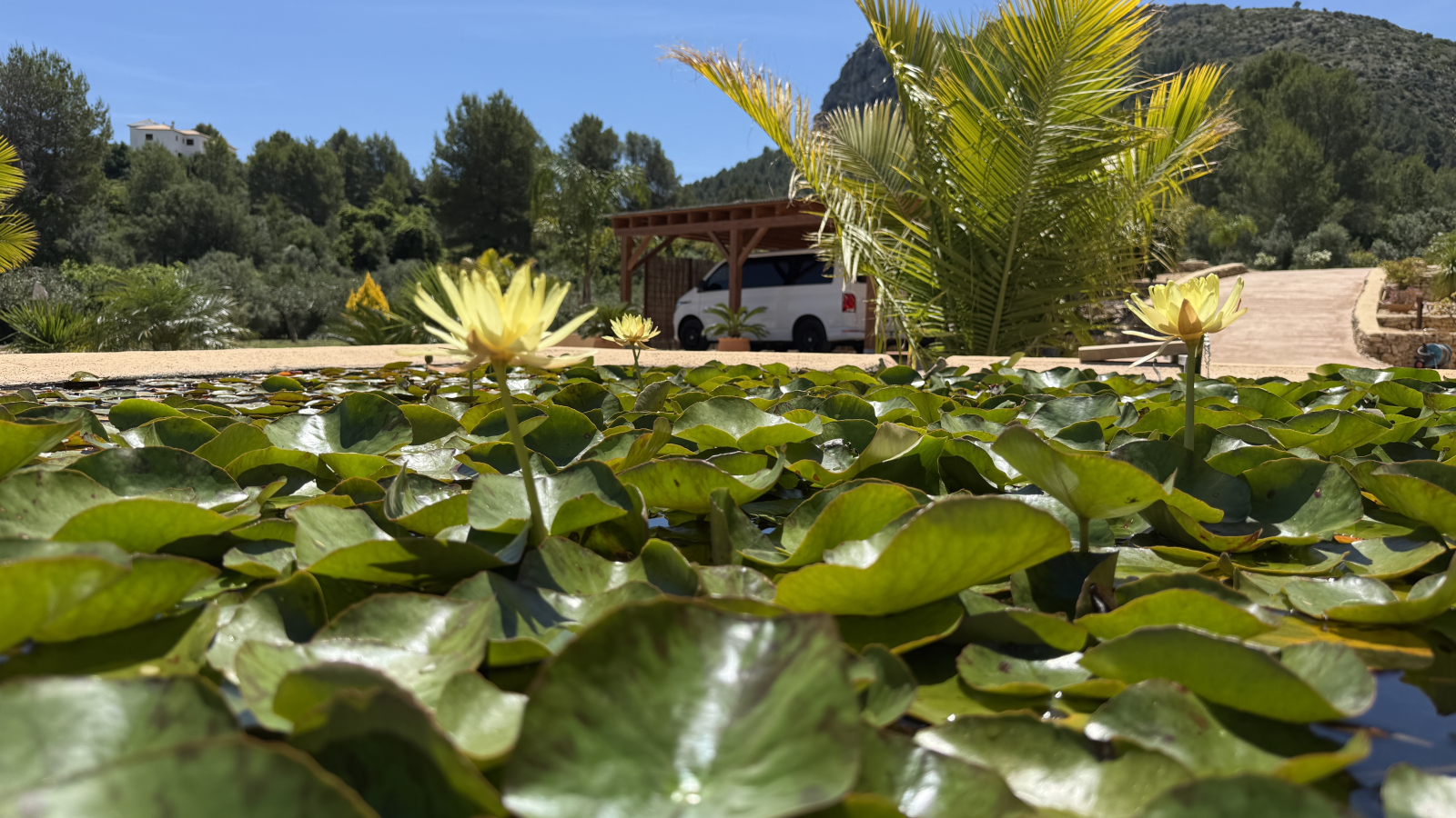 DP-31-AS-1026-7 Finca for sale in Orba