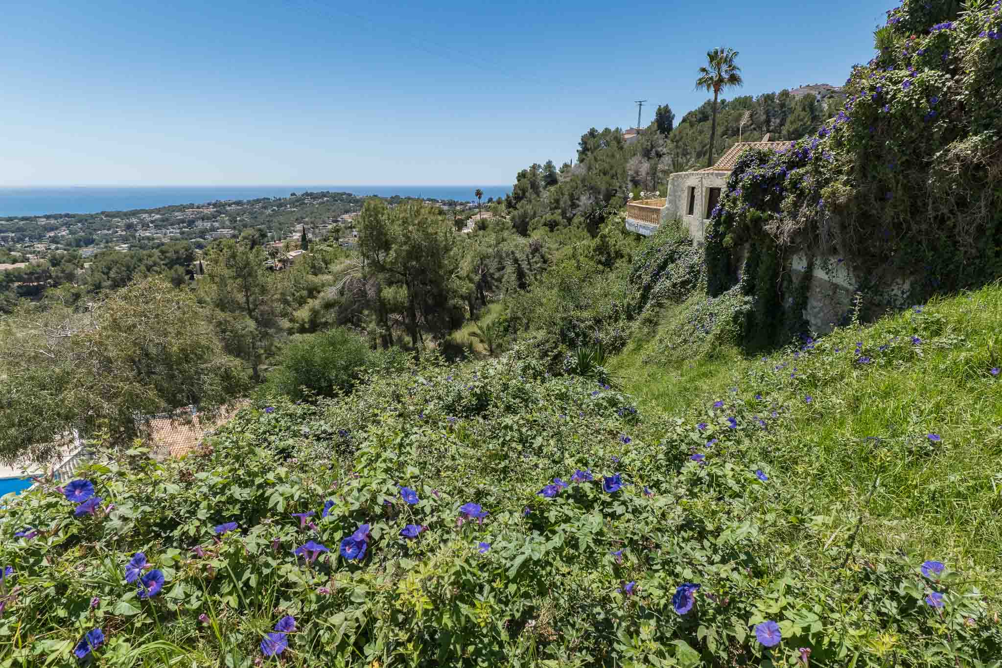 DP-40-8338MOR-3 Land for sale in Moraira
