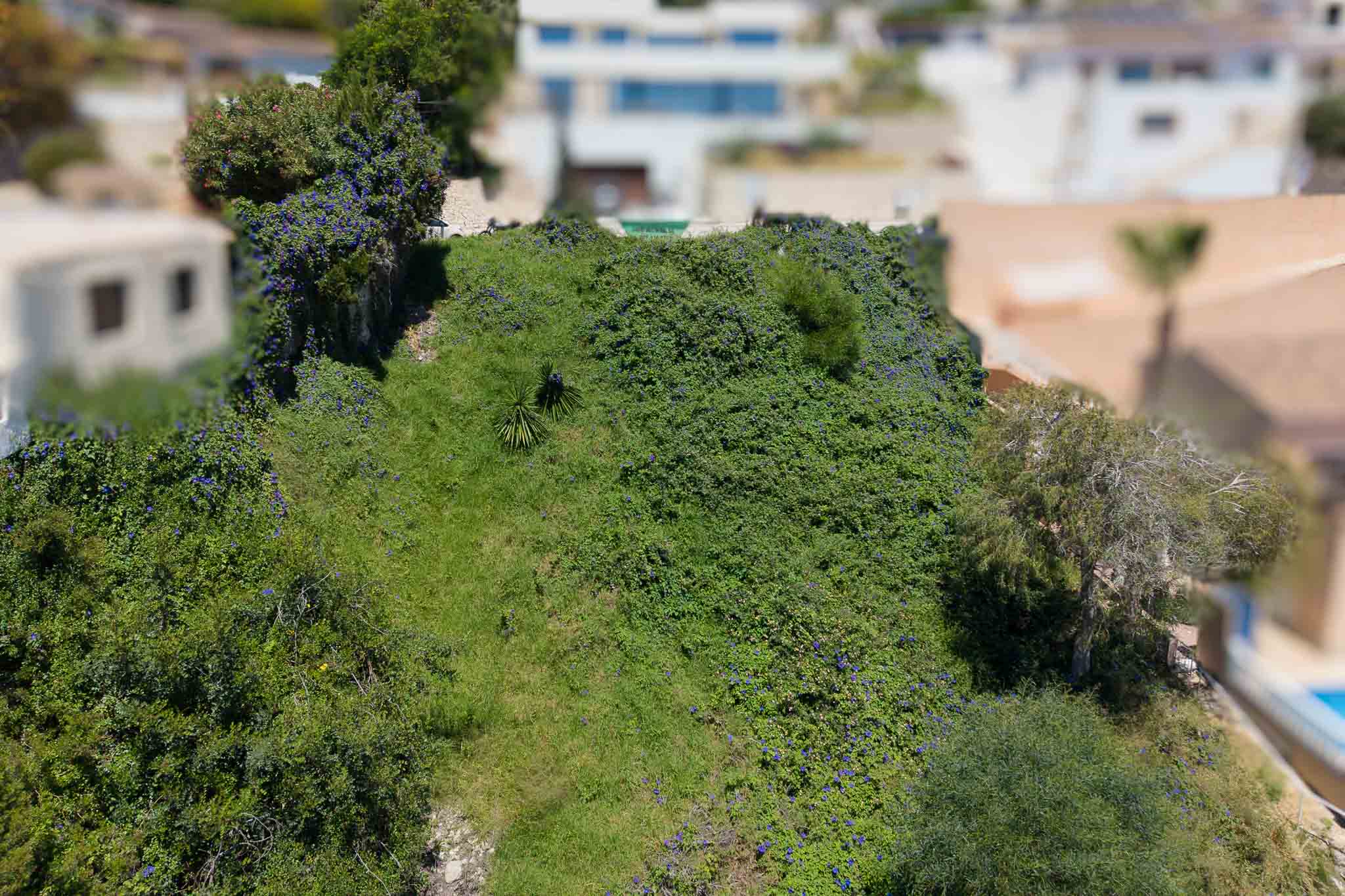 default Land for sale in Moraira