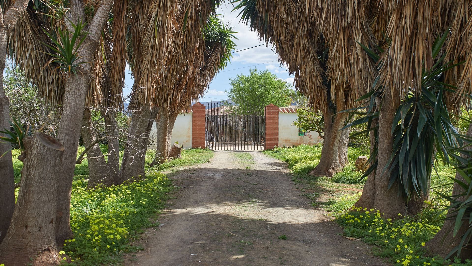 Finca for sale in Alhaurín el Grande