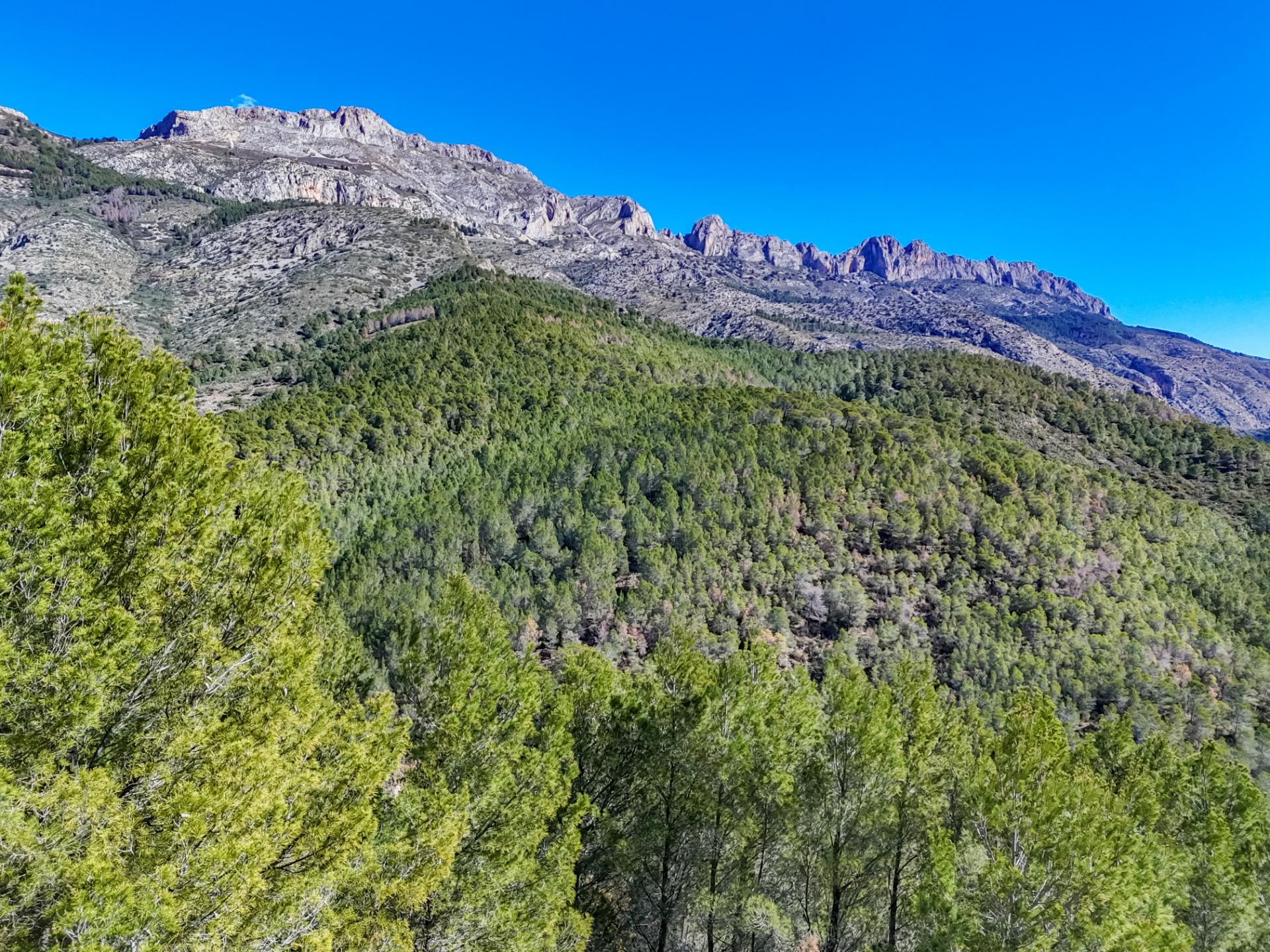 Land for sale in Callosa d’en Sarrià