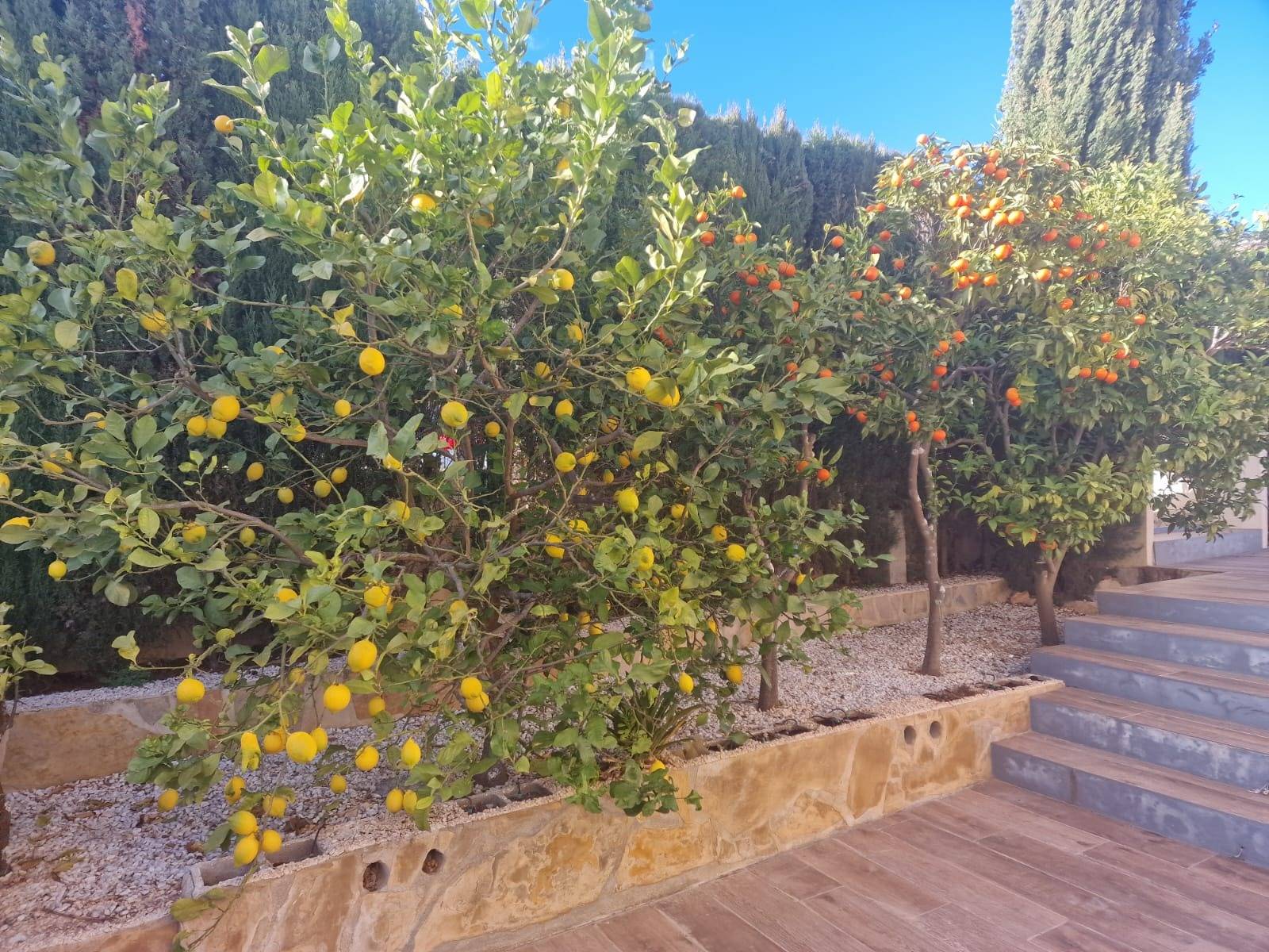 Villa for sale in Benitachell