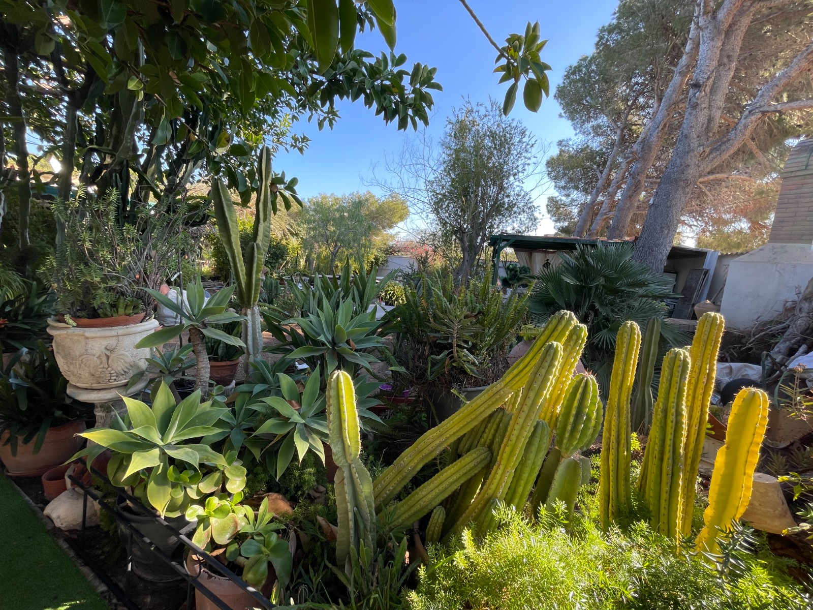 Villa for sale in Orihuela Costa