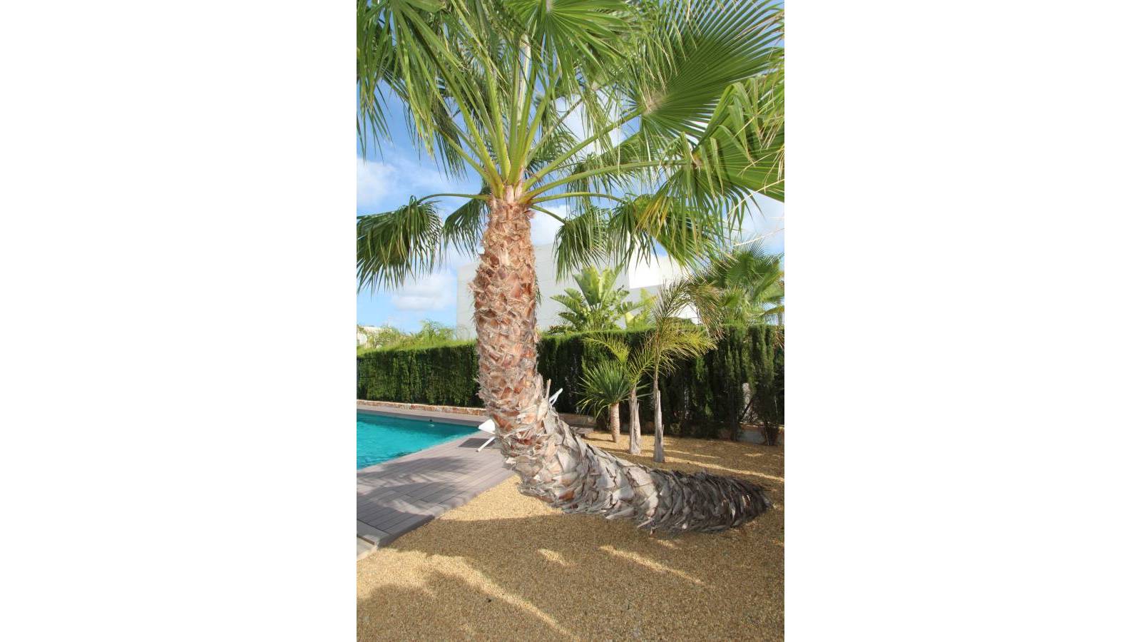 Villa for sale in Rojales