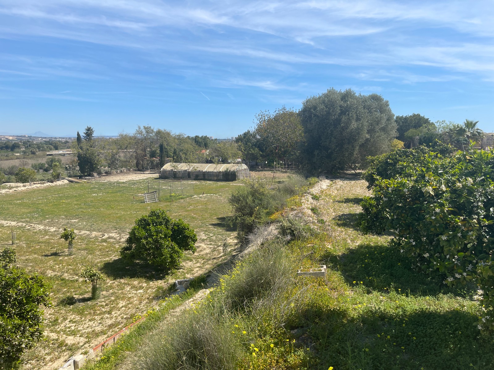 Villa for sale in Guardamar del Segura