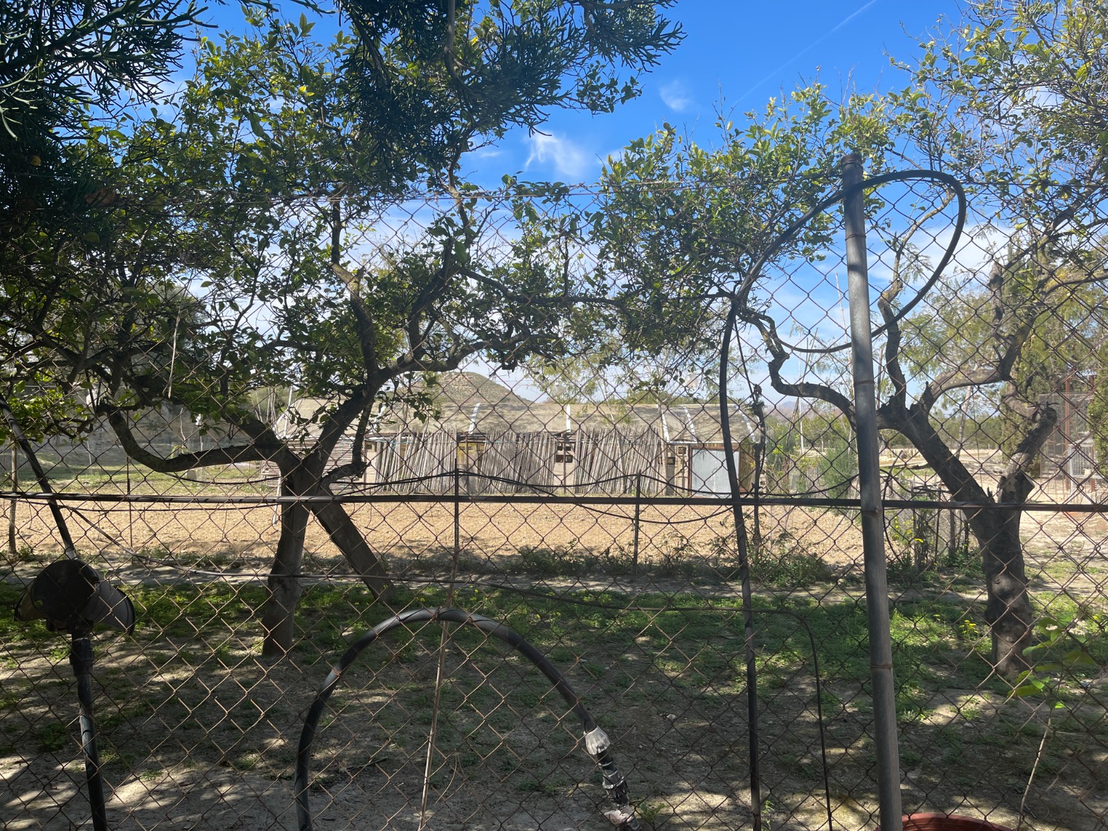 Villa for sale in Guardamar del Segura