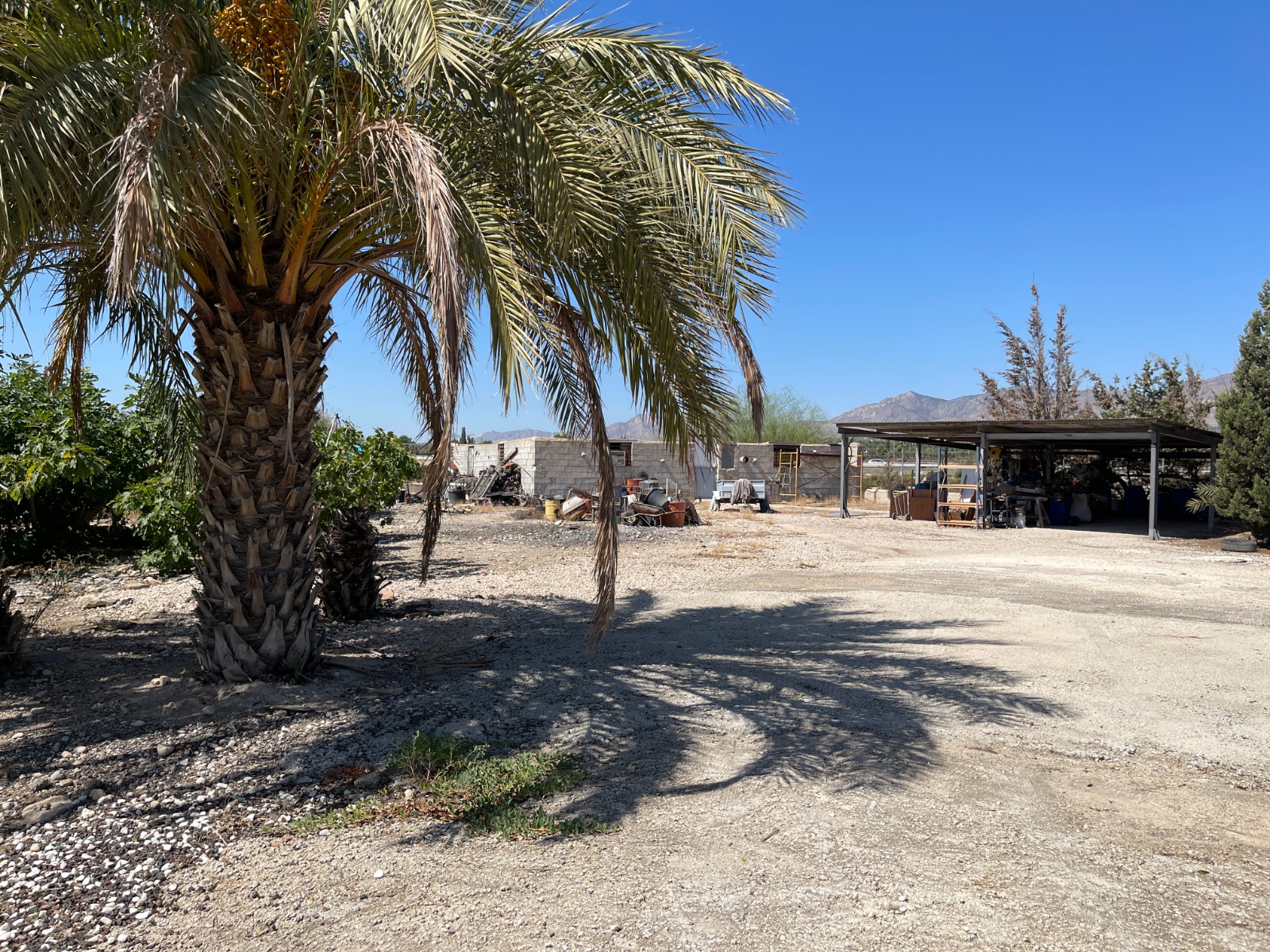 DP-75-SLS1529-15 Villa for sale in Crevillente