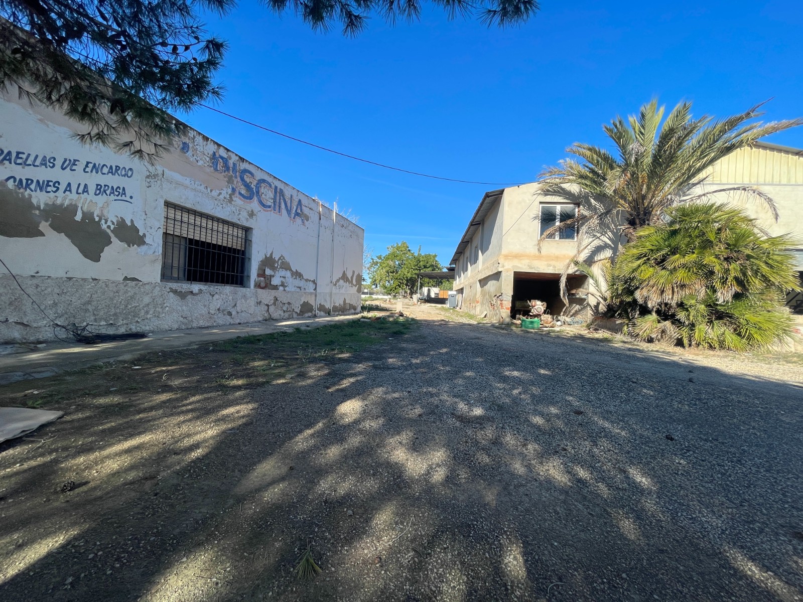 Finca for sale in Elche