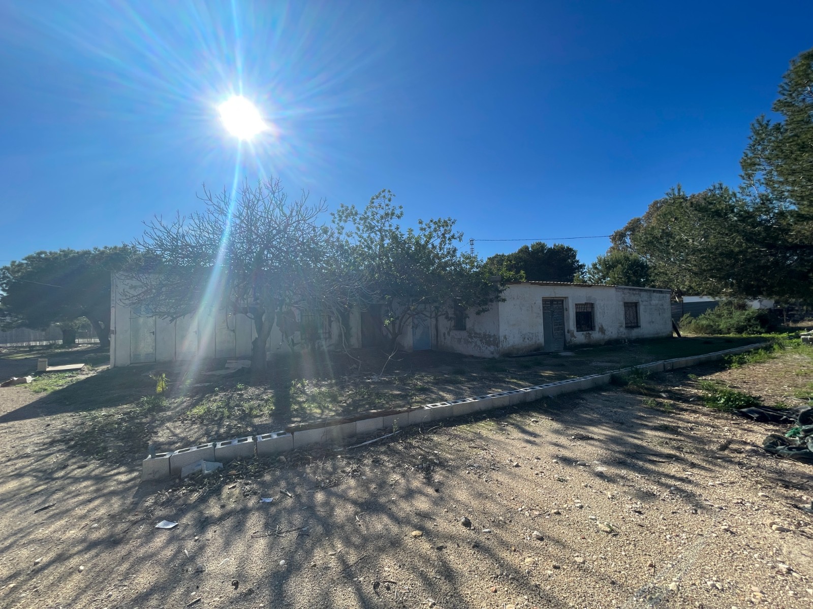 Finca for sale in Elche