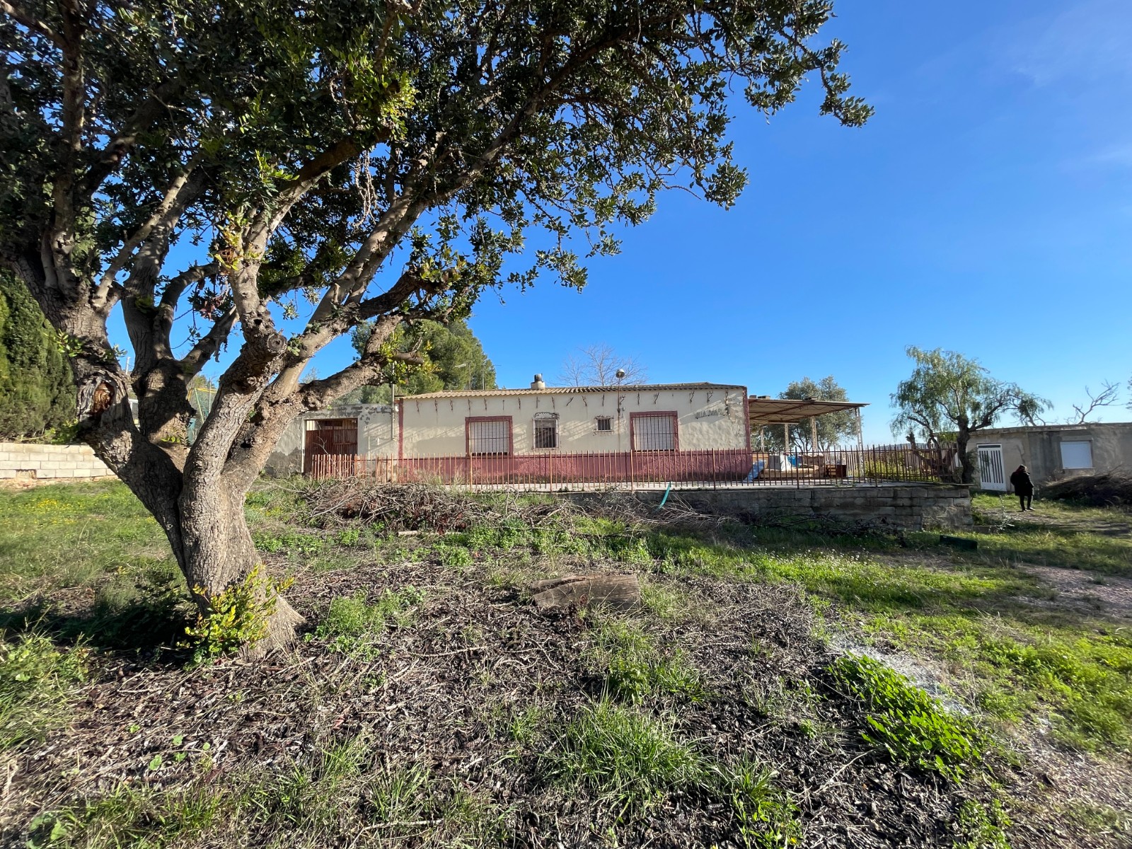 Finca for sale in Aspe