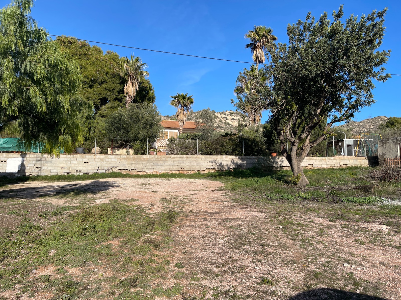 Finca for sale in Aspe