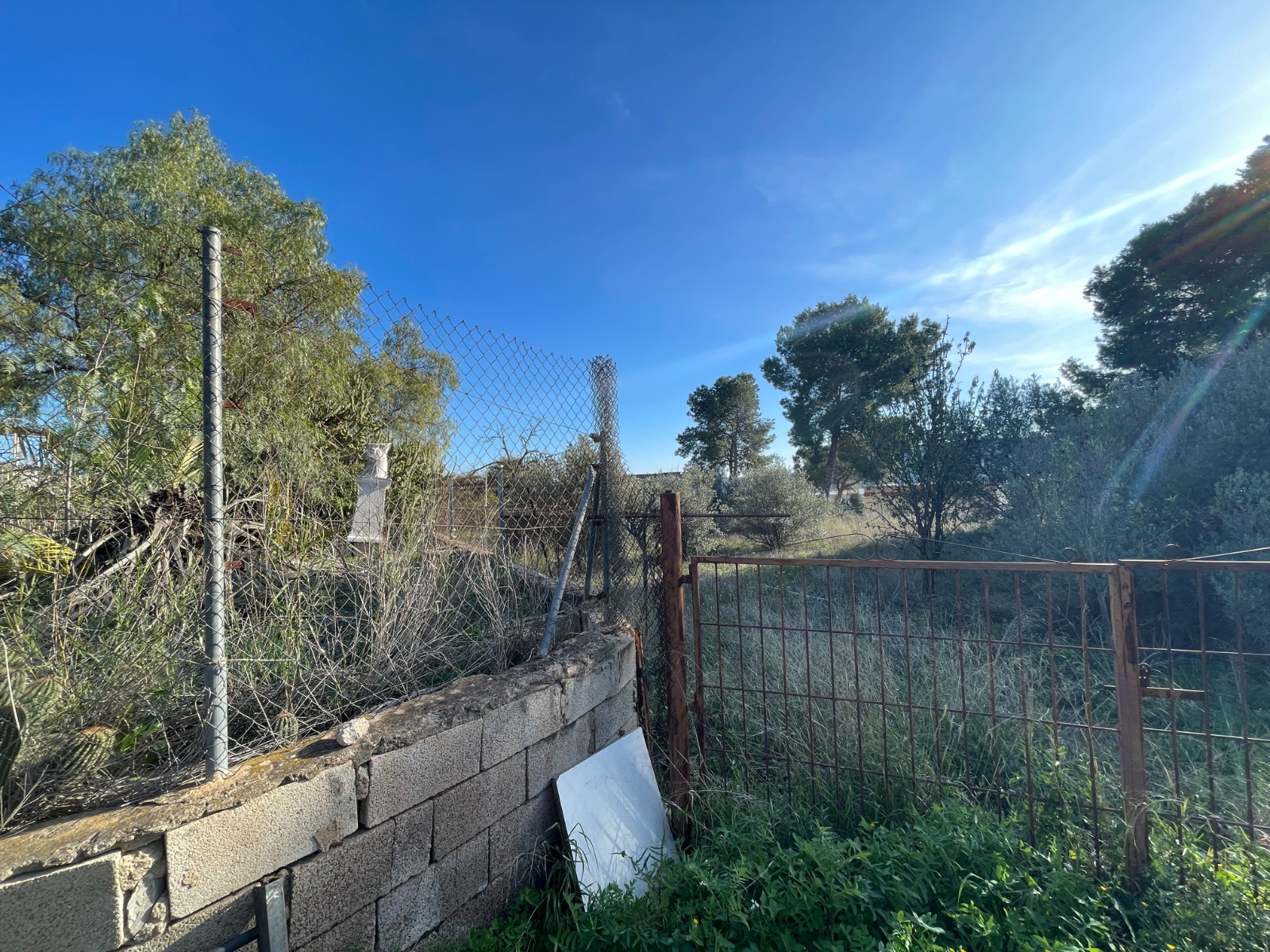 Finca for sale in Aspe