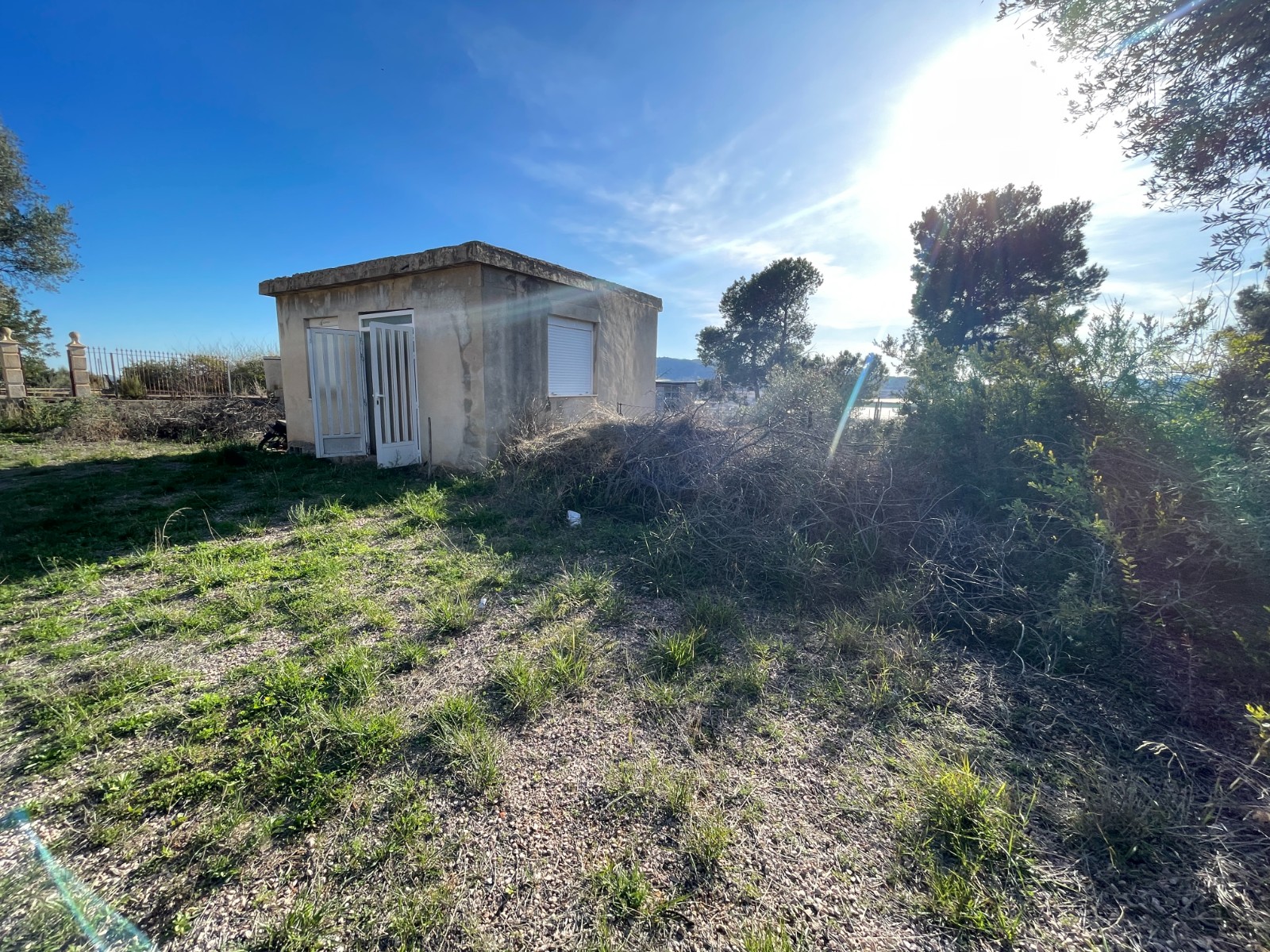 Finca for sale in Aspe