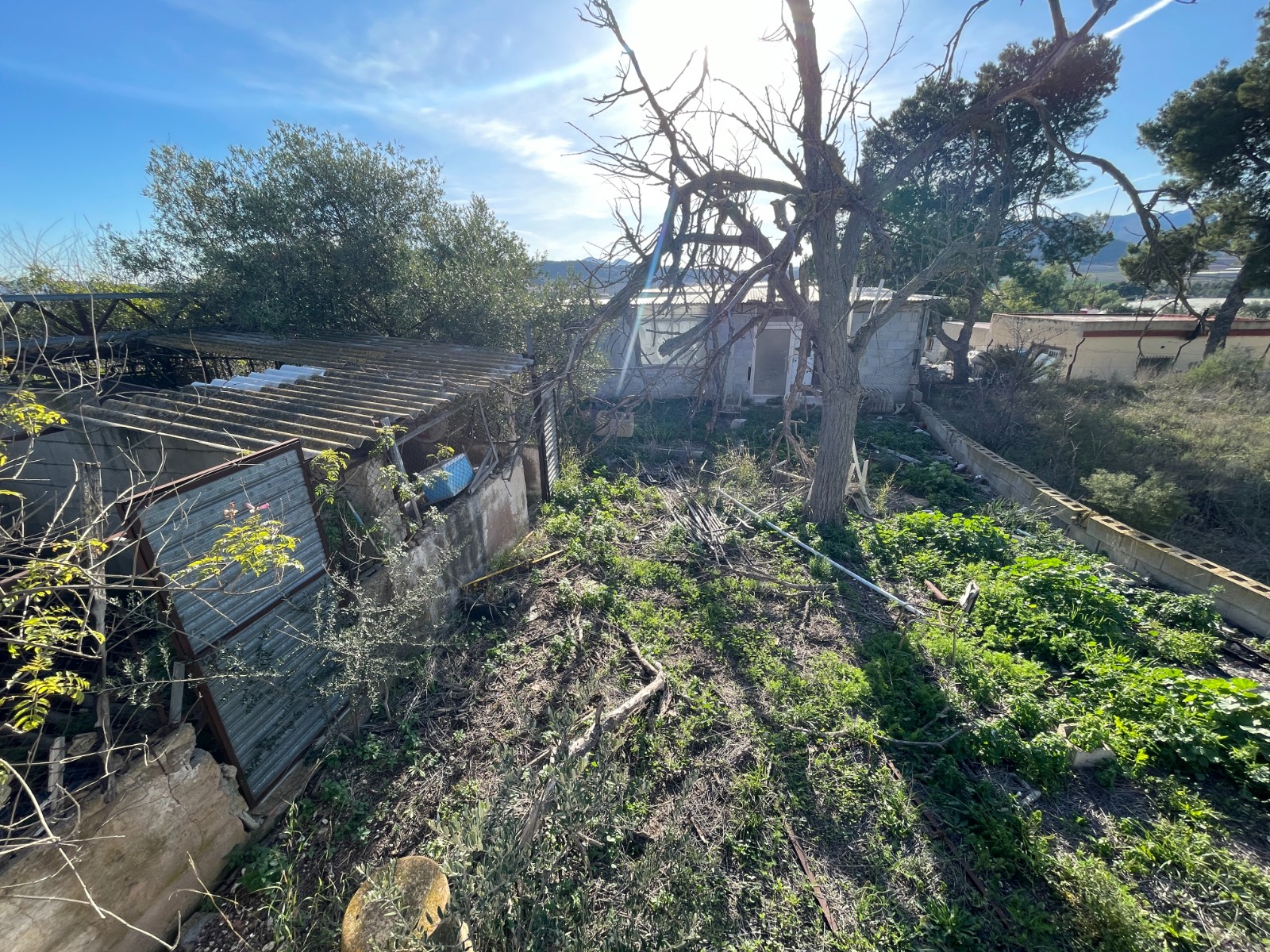 Finca for sale in Aspe