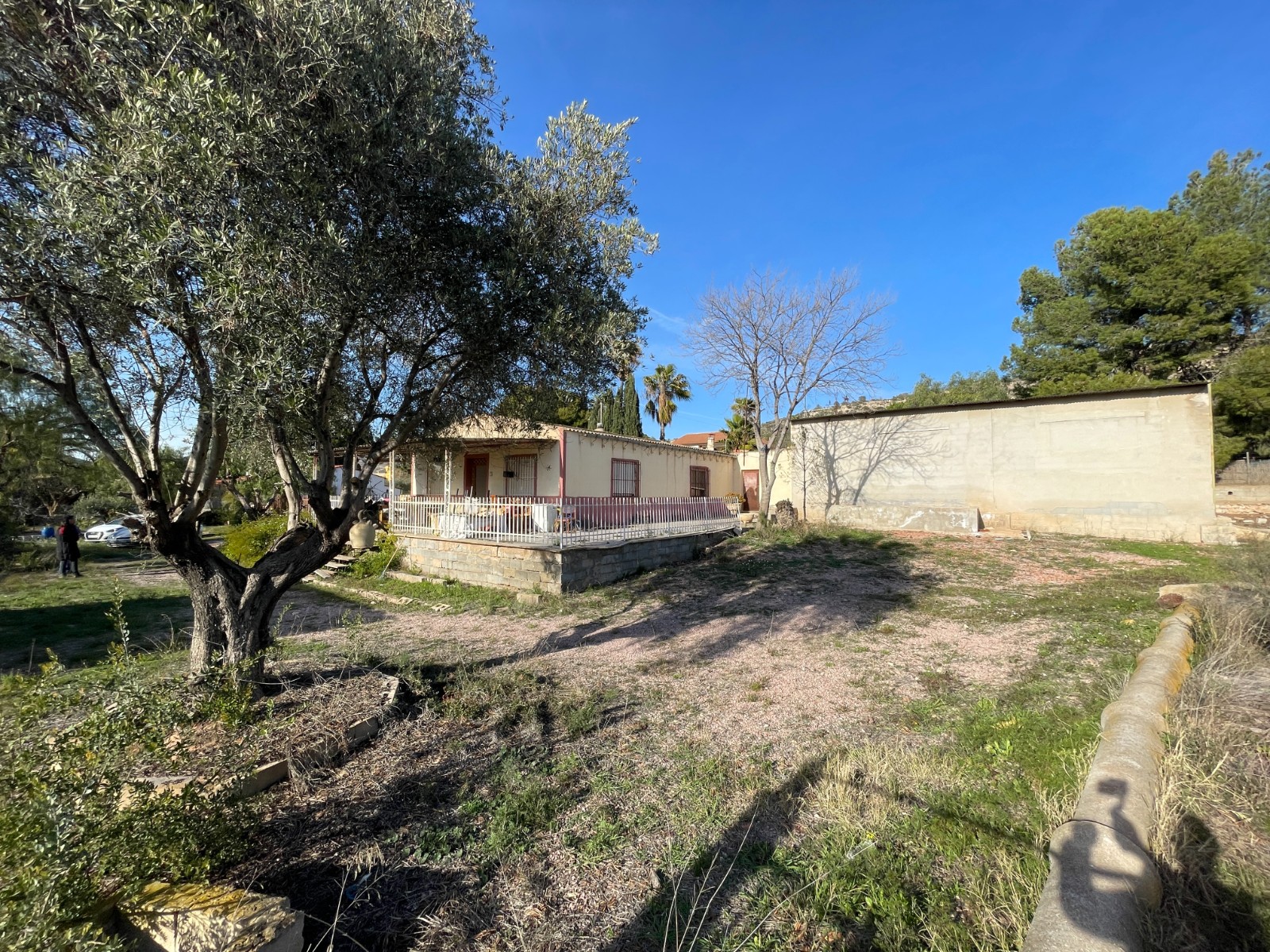 Finca for sale in Aspe