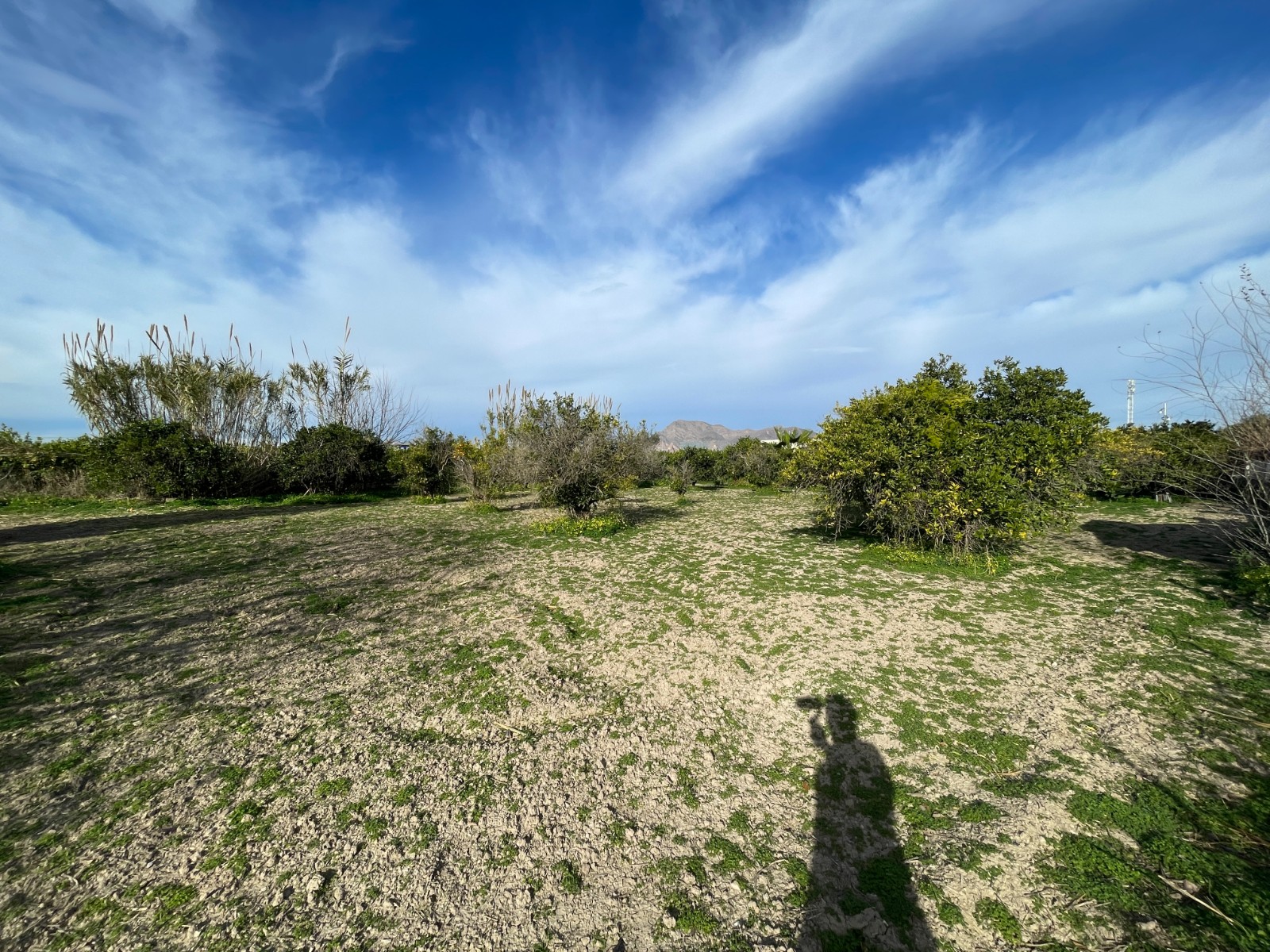 DP-75-SLS1572-22 Villa for sale in Benejuzar