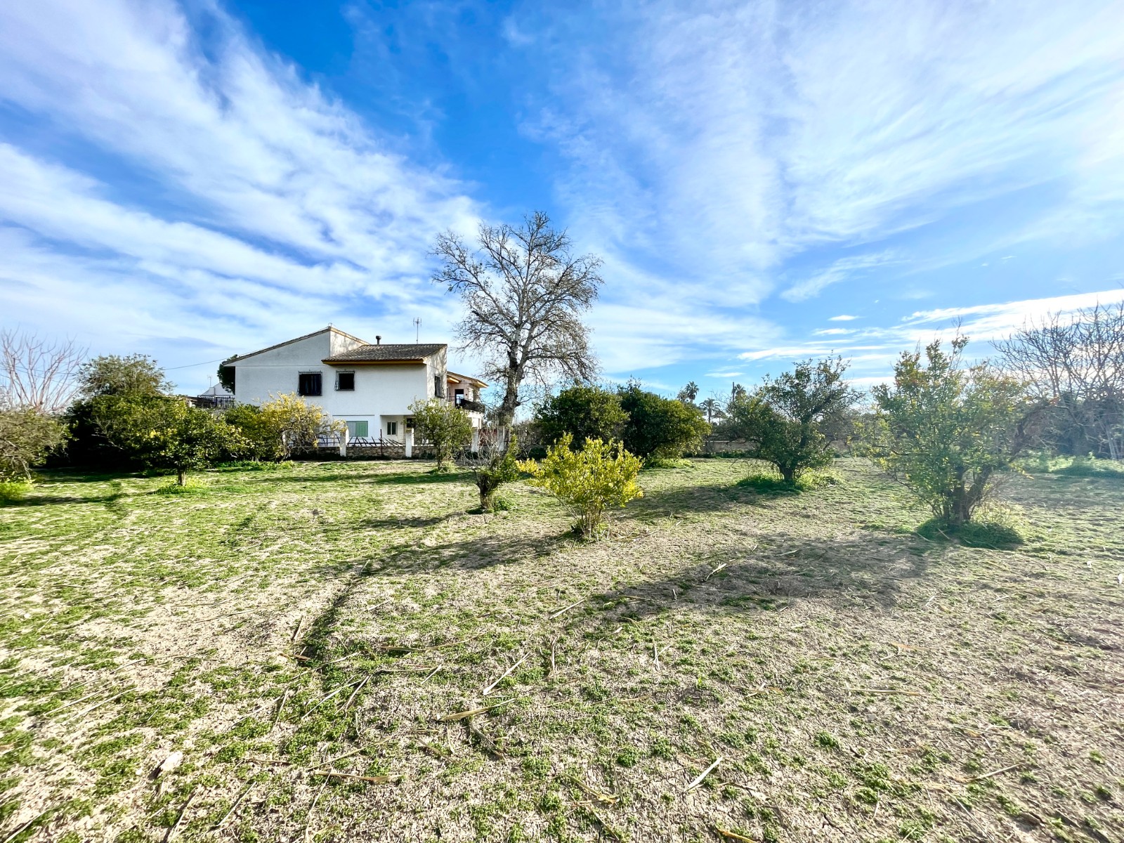 DP-75-SLS1572-23 Villa for sale in Benejuzar