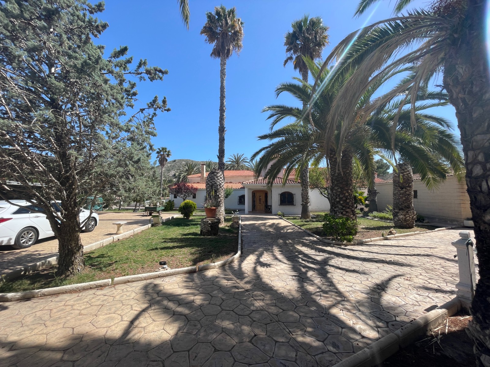 DP-75-SLS1583-13 Finca for sale in Elda