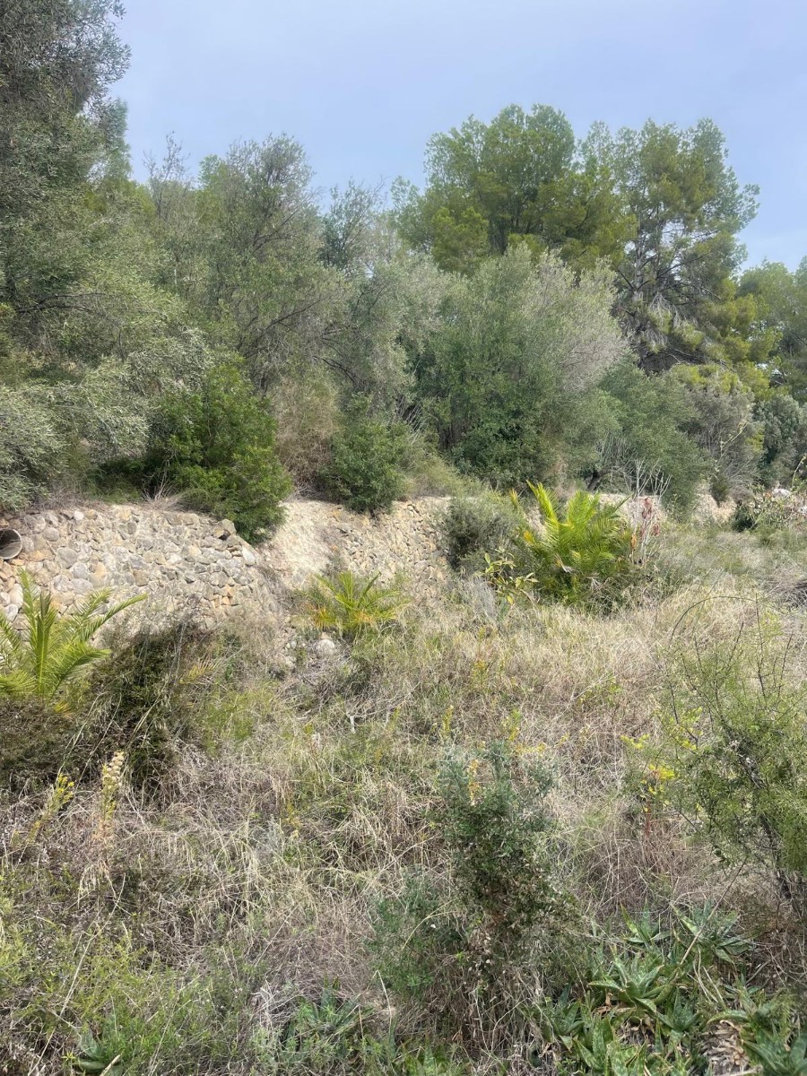 Land for sale in Alfaz del Pi
