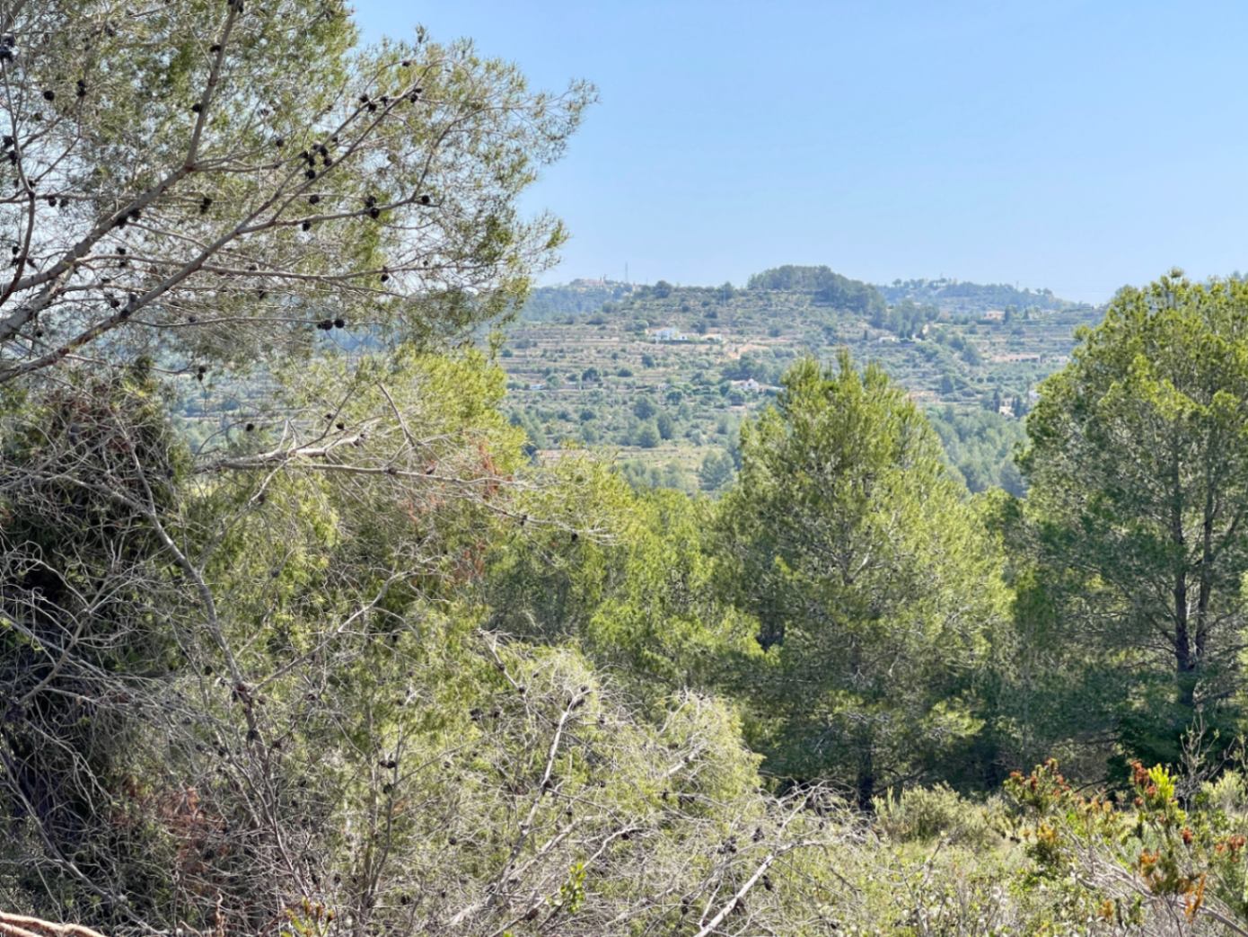Land for sale in Benissa
