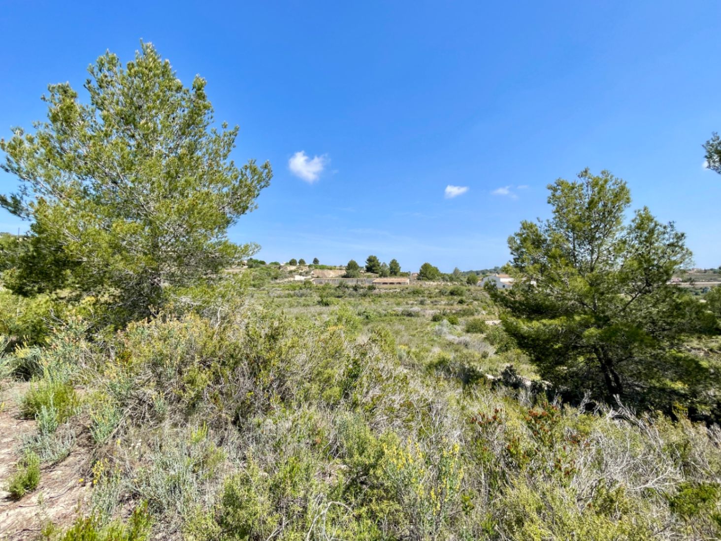 Land for sale in Benissa