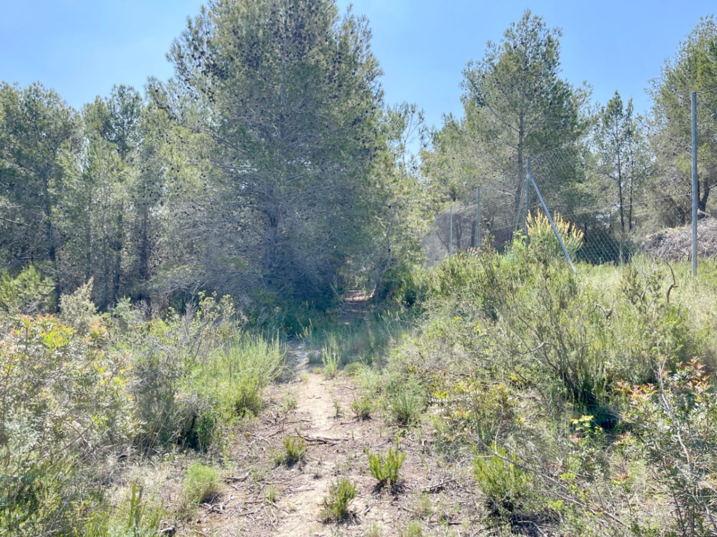 Land for sale in Benissa
